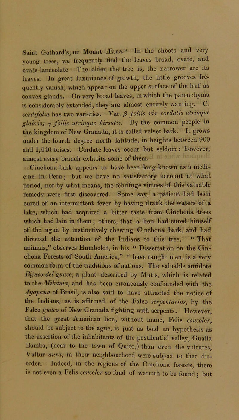 Saint Gothard’s, or Mount iEtna.” In the shoots and very younjr trees, we frequently find the leaves broad, ovate, and ovate-lanceolate The older the tree is, the narrower are its leaves. In great luxuriance of growth, the little grooves fre- quently vanish, which appear on the upper surface of the leaf as convex glands. On very broad leaves, in which the parenchyma is considerably extended, they are almost entirely wanting. C. cordifolia has two varieties. Var. /3 J'oliis vioo cordatis utrinque glahris: y foliis utrinque hirsutis. By the common people in the kingdom of New Granada, it is called velvet bark. It grows under the fourth degree north latitude, in heights between 900 and 1,440 toises. Cordate leaves occur but seldom : however, almost every branch exhibits some of them. Cinchona bark appears to have been long known as a medi- cine in Peru; but we have no satisfactory account at what period, nor by what means, the febrifuge virtues of this valuable remedy were first discovered. Some say, a patierit'*hkd been cured of an intermittent fever by having drank the waters’^ of a lake, which had acquired a bitter taste from Ciiichoria trees which had lain in them; others, that a lion had cured himkelf of the ague by instinctively chewing Cinchona bark, and had directed the attention of the Indians to this tree. “ That animals,” observes Humboldt, in his Dissertation on the Cin- chona Forests of South America,” “ have taught men, is a very common form of the traditions of nations. The valuable antidote Bijuco del guaco, a plant described by Mutis, which is related to the Mikania, and has been erroneously confounded with the Ayapana of Brasil, is also said to have attracted the notice of the Indians, as is affirmed of the Falco serpentarius, by the Falco guaco of New Granada fighting with serpents. However, that the great American lion, without mane, Felis co?icolor, should be subject to the ague, is just as bold an hypothesis as the assertion of the inhabitants of the pestilential valley, Gualla Bamba, (near to the town of Quito,) than even the vultures, Vultur aura, in their neighbourhood were subject to that dis- order. Indeed, in the regions of the Cinchona forests, there is not even a Felis coucolor so fond of warmth to be found j but