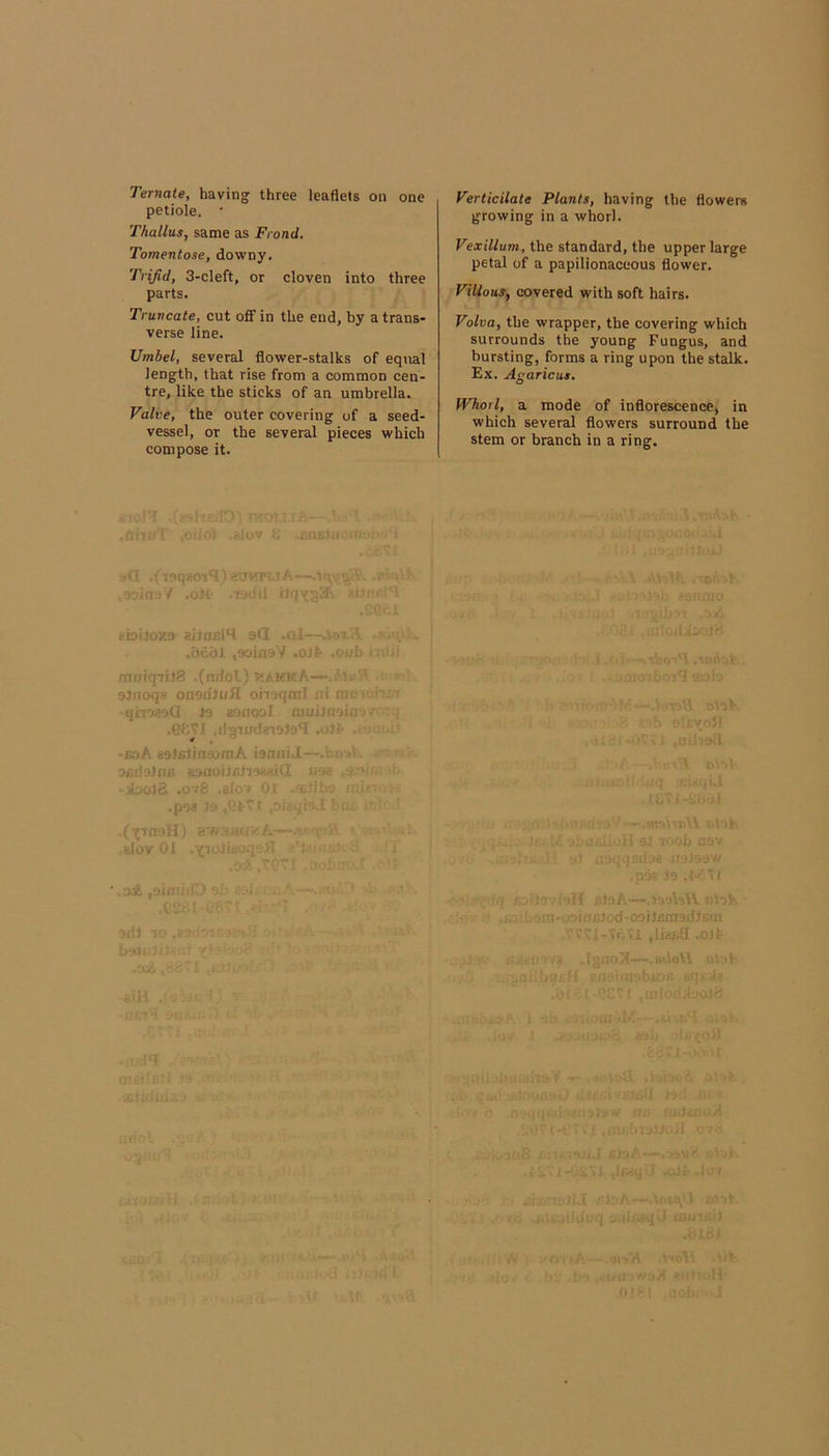 Ternate, having three leaflets on one petiole. • Thallus, same as Frond. Tomentose, downy. Trifid, 3-cleft, or cloven into three parts. Truncate, cut oflf in the end, by a trans- verse line. Umbel, several flower-stalks of eq\ial length, that rise from a common cen- tre, like the sticks of an umbrella. Valve, the outer covering of a seed- vessel, or the several pieces which compose it. Verticilate Plants, having the flowers growing in a whorl. Vexillum, the standard, the upper large petal of a papilionaceous flower. Villous, covered with soft hairs. Volva, the wrapper, the covering which surrounds the young Fungus, and bursting, forms a ring upon the stalk. Ex. Agaricus, Whorl, a mode of inflorescence, in which several flowers surround the stem or branch in a ring. -IV -- -Pflfc' 5' ■ euvrn.i A — .oinoV .oil !iii iioiioxo eitafilH sQ .nl—.'ioF.’L .bc.bl ,9oin9'V .ojJ^ -TioiqiiJB .(nrfol) v;aKi-A— eifioq. onedJofI ohoqnil trivio r qirsaoG io aonool nnji.r.jirr' .Gfc’Tl .ilgiwdeieJo*! - -£oA aelBliasomA ienniJ—c--' ondsirie B3floiJi5lio«rtiG -io.': ; ■ ■i00i& .0V8 .alov Ot .;--tib:> i. .pea io ,0tt J (ijTnoH) a'waiiav A- .m j jA. ,sl0V 01 .T(;ioJisOq% A .o:>. ' 30J to .e'jlio’.r. ';•! : ■. . i-H - .J- ■ nav / Jo “t' < ) r,ioA“,'.'j jl')A i-r.- ra-u'-ri.-aJod-ODrJBtnatfism .Vv’C'I-'ff.'i (lia^^ .oil .ti : . , ; af:A—=.wloU li >f . .'jr. aTiU)!::. -Cl ijlli .. •■ ■ ■ .» iv 1 - ■ ■ ■'J .un . ,;Iooc ...i'i.,;'.; J- i::-..:-.'-!;' ig. .‘.'O <l(MOtrv w ■ tr