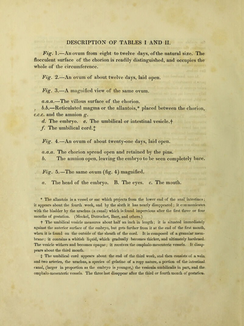 DESCRIPTION OF TABLES I AND II. Fig. 1.—An ovum from eight to twelve days, of the natural size. The flocculent surface of the chorion is readily distinguished, and occupies the whole of the circumference. Fig. 2 .—An ovum of about twelve days, laid open. Fig. 3.—A magnified view of the same ovum. a.a.a.—The villous surface of the chorion. , b.b.—Reticulated magma or the allantois,* placed between the chorion, c.c.c. and the amnion g. d. The embryo, e. The umbilical or intestinal vesicle.f f. The umbilical cord.J Fig. 4.—An ovum of about twenty-one days, laid open. a. a.a. The chorion spread open and retained by the pins. b. The amnion open, leaving the embryo to be seen completely bare. Fig. 5 .—The same ovum (fig. 4) magnified. a. The head of the embryo. B. The eyes. c. The mouth. * The allantois is a vessel or sac which projects from the lower end of the anal intestines; it appears about the fourth week, and by the sixth it has nearly disappeared; it communicates with the bladder by the urachus (a canal) which is found impervious after the first three or four months of gestation. (Meckel, Dutrocliet, Baer, and others.) t The umbilical vesicle measures about half an inch in length; it is situated immediately against the anterior surface of the embryo, but gets further from it at the end of the first month, when it is found on the outside of the sheath of the cord. It is composed of a granular mem- brane ; it contains a whitish liquid, which gradually becomes thicker, and ultimately hardened. The vesicle withers and becomes opaque; it receives the omphalo-mesenteric vessels. It disap- pears about the third month. X The umbilical cord appears about the end of the third week, and then consists of a vein and two arteries, the urachus, a species of gelatine of a ropy nature, a portion of the intestinal canal, (larger in proportion as the embryo is younger,) the vesicula umbilicalis in part, and the omphalo-mesenteric vessels. The three last disappear after the third or fourth month of gestation.