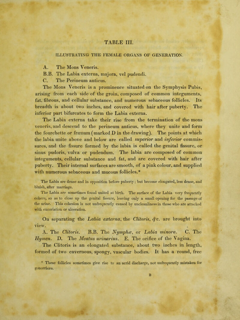 TABLE III. ILLUSTRATING THE FEMALE ORGANS OF GENERATION. A. The Mons Veneris. B. B. The Labia externa, majora, vel pudendi. C. The Perineum anticus. The Mons Veneris is a prominence situated on the Symphysis Pubis, arising from each side of the groin, composed of common integuments, fat, fibrous, and cellular substance, and numerous sebaceous follicles. Its breadth is about two inches, and covered with hair after puberty. The inferior part bifurcates to form the Labia externa. The Labia externa take their rise from the termination of the mons veneris, and descend to the perineum anticus, where they unite and form the fourchette or frsenum (marked D in the drawing). The points at which the labia unite above and below are called superior and inferior commis- sures, and the fissure formed by the labia is called the genital fissure, or sinus pudoris, vulva or pudendum. The labia are composed of common integuments, cellular substance and fat, and are covered with hair after puberty. Their internal surfaces are smooth, of a pink colour, and supplied with numerous sebaceous and mucous follicles.* The Labia are dense and in opposition before puberty; but become elongated, less dense, and bluish, after marriage. The Labia are sometimes found united at birth. The surface of the Labia very frequently cohere, so as to close up the genital fissure, leaving only a small opening for the passage of the urine. This cohesion is not unfrequently caused by uncleanliness in those who are attacked with excoriation or ulceration. On separating the Labia externa, the Clitoris, cfc. are brought into view. A. The Clitoris. B.B. The Nymphx, or Labia minora. C. The Hymen. D. The Meatus urinarius. E. The orifice of the Vagina. The Clitoris is an elongated substance, about two inches in length, formed of two cavernous, spongy, vascular bodies. It has a round, free * These follicles sometimes give rise to an acrid discharge, not unfrequently mistaken for gonorrhoea. B