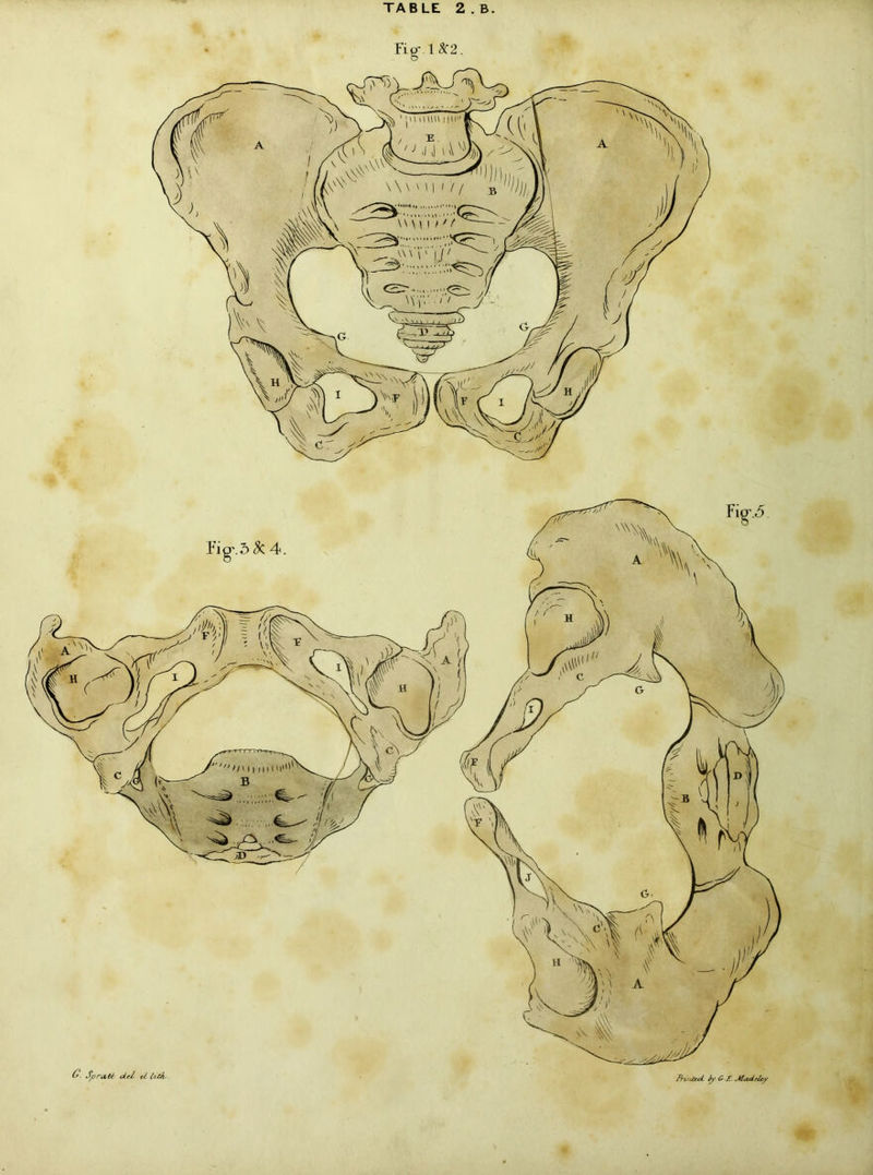 Fig- 1 8C2.