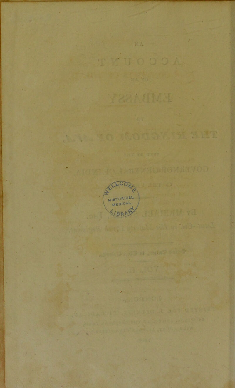 wm » »T ■ . Vt y