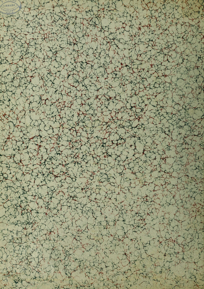 BRA.1R ßßra 'i-Ù 2