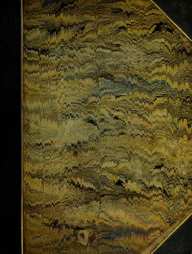 No text description is available for this image