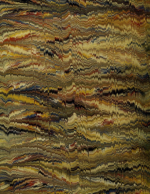 No text description is available for this image