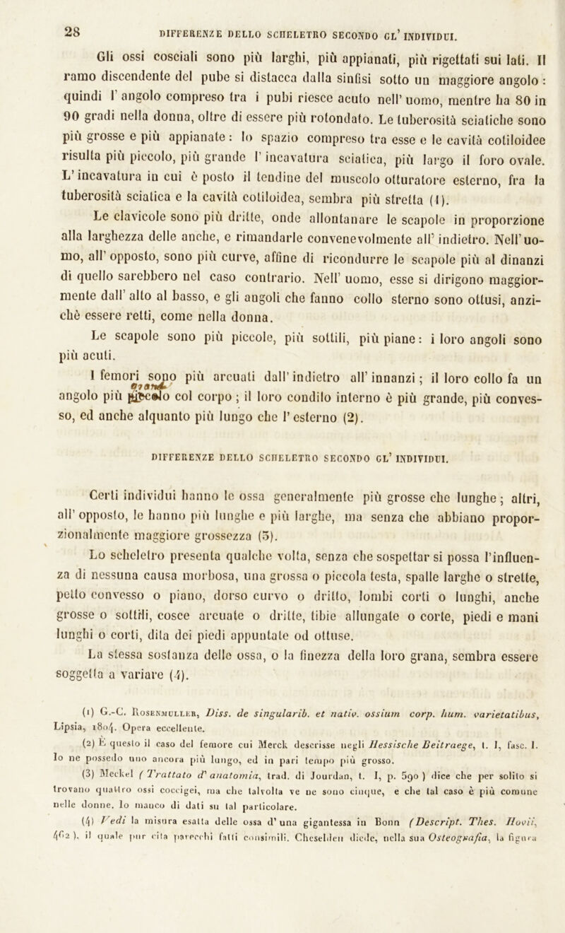 Gli ossi cosciali sono più larghi, più appianati, più rigettati sui lati. Il ramo discendente del pube si distacca dalla sinfisi sotto un maggiore angolo : quindi 1 angolo compreso tra i pubi riesce acuto nell’ uomo, mentre ha 80 in 90 gradi nella donna, oltre di essere più rotondato. Le tuberosità sciatiche sono più grosse e più appianate : Io spazio compreso tra esse e le cavità cotiloidee risulta più piccolo, più grande l’incavatura sciatica, più largo il foro ovale. L incavatura in cui è posto il lendine del muscolo otturatore esterno, fra la tuberosità sciatica e la cavità cotiloidea, sembra più stretta (I). Le clavicole sono più dritte, onde allontanare le scapole in proporzione alla larghezza delle anche, e rimandarle convenevolmente all’ indietro. Nell’uo- mo, all opposto, sono più curve, affine di ricondurre le scapole più al dinanzi di quello sarebbero uel caso contrario. Nell’ uomo, esse si dirigono maggior- mente dall allo al basso, e gli angoli che fanno collo sterno sono ottusi, anzi- ché essere retti, come nella donna. Le scapole sono più piccole, più sottili, più piane : i loro angoli sono più acuti. 1 femori sono più arcuati dall’indietro all’ innanzi : il loro collo fa un angolo piu tyfcc&Io col corpo ; il loro condilo interno è più grande, più conves- so, ed anche alquanto più lungo che l’esterno (2). DIFFERENZE DELLO SCHELETRO SECONDO CL’ INDIVIDUI. Certi individui hanno le ossa generalmente più grosse che lunghe; altri, all’opposto, le hanno più lunghe e più larghe, ma senza che abbiano propor- zionalmente maggiore grossezza (5). Lo scheletro presenta qualche volta, senza che sospettar si possa l’influen- za di nessuna causa morbosa, una grossa o piccola testa, spalle larghe o strette, petto convesso o piano, dorso curvo o dritto, lombi corti o lunghi, anche grosse o sottili, cosce arcuate o dritte, tibie allungate o corte, piedi e mani lunghi o corti, dila dei piedi appuntale od ottuse. La stessa sostanza dello ossa, o la finezza della loro grana, sembra essere soggetta a variare (4). (1) G.-C. ìtosENMOLLEB, Diss. de singularib. et natia. ossium corp. lium. aarietatìbus, Lipsia, i8o/j. Opera eccellente. (2) L questo ii caso del femore cui Merck descrisse negli Hessische Beitraege, I. 1, fase. 1. Io ne possedo uno ancora più lungo, ed in pari tempo più grosso. (3) Meckel (Trattato d' anatomia, trad. di Jourdan, t. I, p. 590) dice che per solilo si trovano quattro ossi coccigei, ma che talvolta ve ne sono ciuque, e che lai caso è più comune nelle donne, lo mauco di dati su tal particolare. (^) / edi la misura esatta delle ossa d* una gigantessa in Bonn (Descript. T/ies. Iloaii, (\C\2 ), il quale pur cita parecchi falli consimili. Chesehlen diede, nella sua Osteografia. la figura