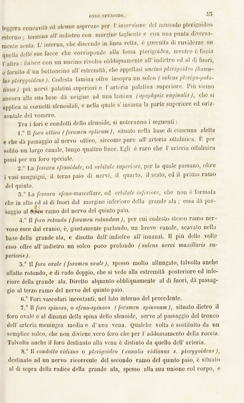 45 le^-ora concavità od alcune asprezze per l’inserzione del muscolo ptcrigoideo esterno ; termina all’indietro con margine tagliente e con una punta diversa- mente acuta. L’interna, che discende in linea retta, è guernita di ruvidezze su quella delle sue facce che corrisponde alla fossa plerigoidca, mentre è liscia P altra : finisce con un uncino rivolto obbliquamente all’ indietro ed al di fuori, c fornito d’un bottoncino all’ estremità, che appellasi uncino pterigoideo (hamu- lus ptcrygoideus ). Codesta lamina offre insopra un solco ( sulcus pterigo-pala- tinus ) pei nervi palatini superiori c 1 arteria palatina supeiioie. 1 iù vicino ancora alla sua base dà origine ad una lamina (opopliysis vaginali ), obesi applica ai cornetti sfenoidali, e nella quale s insinua la parte superiore cd oriz- zontale del vomero. Tra i fori e condotti dello sfenoide, si noteranno i seguenti : \.° Il foro ottico (forameli opiicum), situato nella base di ciascuna aletta e che dà passaggio al nervo ottico, siccome pure all’ arteria ottalmica. E per solito un largo canale, lungo quattro linee. Egli è raro che 1’ arteria ottalmica passi per un foro speciale. 2.° La fessura sfenoidale, od orbitale superiore, per la quale passano, oltre i vasi sanguigni, il terzo paio di nervi, il quarto, il sesto, ed il pi imo i amo del quinto. 5.° La fessura sfeno-mascellare, od orbitale inferiore, che non è formata che in alto ed al di fuori dal margine inferiore della grande ala ; essa dà pas- saggio a! temi ramo del nervo del quinto paio. 4.° II foro rotondo (forameli rolundum), per cui codesto stesso ramo ner- voso esce dal cranio, è, giustamente parlando, un breve canale, scavato nella base della grande ala, e disotto dall’indietro all’innanzi. Il più delle volte esso offre all’ indietro un solco poco profondo ( sulcus nervi maxillaris su- pcrioris ). 5.° Il foro ovale (forameli ovale), spesso molto allungato, talvolta anche affatto rotondo, e di rado doppio, che si vede alla estremità posteriore ed infe- riore della grande ala. Diretto alquanto obbliquamente al di iuori, dà passag- gio al terzo ramo del nervo del quinto paio. G.° Fori vascolari incostanti, nel lato interno del precedente. 7. ° Il foro spinoso, o sfeno-spinoso ( forameli spinosum ), situato dietro il foro ovale e al dinanzi della spina dello sfenoide, serve al passaggio del tronco dell arteria meningea media e d’ una vena. Qualche volta è sostituito da un semplice solco, che non diviene vero foro che per 1’ addossamento della roccia. Talvolta anche il foro destinalo alla vena è distinto da quello dell’ arteria. 8. ° II condotto ridiano o ptcrigoideo ( canalis vidianus s. plerygoideus ), destinato ad un nervo ricorrente del secondo ramo del quinto paio, è situalo al di sopra della radice della grande ala, spesso alla sua unione col corpo, e