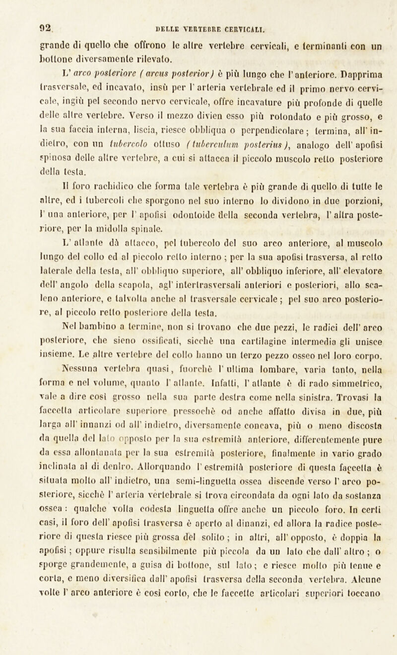 grande di quello die offrono le olire vertebre cervicali, e terminanti con un bottone diversamente rilevalo. V arco posteriore ( arcus posterior) è più lungo che l’anteriore. Dapprima trasversale, ed incavato, insù per l’arteria vertebrale ed il primo nervo cervi- cale, ingiù pel secondo nervo cervicale, offre incavature più profonde di quelle delle altre vertebre. Verso il mezzo divien esso più rotondato e più grosso, e la sua faccia interna, liscia, riesce obbliqua o perpendicolare; termina, all'in- dietro, con un tubercolo ottuso f tuberculum posterius ), analogo dell’ apofisi spinosa delle altre vertebre, a cui si attacca il piccolo muscolo retto posteriore della testa. Il foro racbidico die forma tale vertebra è più grande di quello di tutte le altre, cd i tubercoli che sporgono nel suo interno lo dividono in due porzioni, 1 una anteriore, per I’ apofisi odonloide della seconda vertebra, l’altra poste- riore, per la midolla spinale. 1/ atlante dà attacco, pel tubercolo del suo arco anteriore, al muscolo lungo del collo cd al piccolo rollo interno ; per la sua apoOsi trasversa, al retto laterale della lesta, all’ obbliquo superiore, all’ obbliquo inferiore, all’ elevatore dell’angolo della scapola, agl’ intertrasversali anteriori e posteriori, allo sca- leno anteriore, e talvolta anche al trasversale cervicale; pel suo arco posterio- re, al piccolo retto posteriore della testa. Nel bambino a termine, non si trovano che due pezzi, le radici dell’ arco posteriore, che sieno ossificati, sicché una cartilagine intermedia gli unisce insieme. Le altre vertebre del collo hanno un terzo pezzo osseo nel loro corpo. Nessuna vertebra quasi, fuorché l’ultima lombare, varia tanto, nella forma e nel volume, quanto 1’ atlante. Infatti, 1’ atlante é di rado simmetrico, vale a dire così grosso nella sua parte destra come nella sinistra. Trovasi la faccetta articolare superiore pressoché od anche affatto divisa in due, più larga all’ innanzi od all' indietro, diversamente concava, più o meno discosta da quella del lato opposto per la sua estremità anteriore, differentemente pure da essa allontanata per In sua estremità posteriore, finalmente in vario grado inclinata al di denlro. Allorquando l’estremità posteriore di questa faccetta è situata molto all indietro, una semi-linguetta ossea discende verso I’ arco po- steriore, sicché f arteria vertebrale si trova circondata da ogni lato da sostanza ossea : qualche volta codesta linguetta offre anche un piccolo foro. In certi casi, il toro dell’ apofisi trasversa è aperto al dinanzi, ed allora la radice poste- riore di questa riesce più grossa del solito ; in altri, all’ opposto, é doppia la apofisi ; oppure risulta sensibilmente più piccola da un lato che dall’altro ; o sporge grandemente, a guisa di bottone, sul lato; e riesce molto più tenue e corta, e meno diversifica dall’ apofisi trasversa della seconda vertebra. Alcune volte I’ arco anteriore é cosi corto, che le faccette articolari superiori toccano