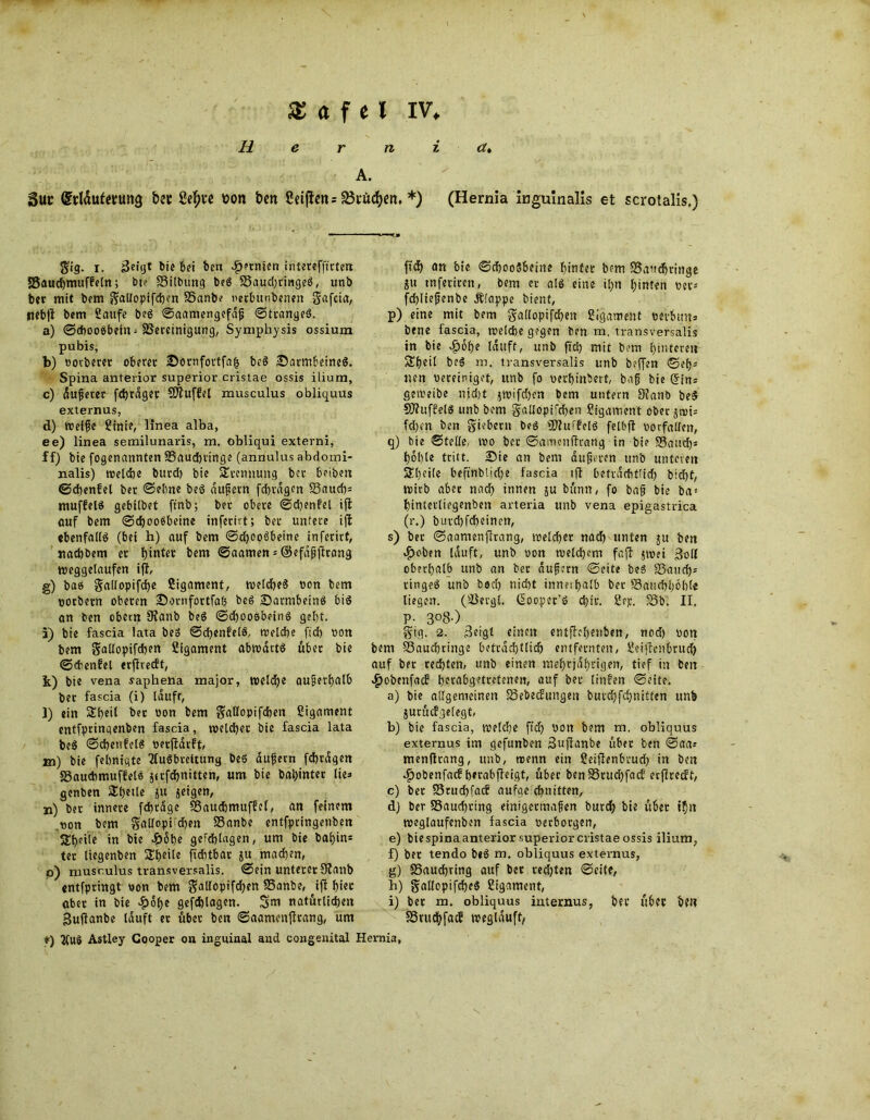 H e r n i a* A. Sun (Mufetung bet Setyne üon ben Seiften s^rücfyen. *) (Hernia ingulnalis et scrotalis.) $ig. i. 3eigt bie bei ben ^rnien intereffttten SSauchmuffein; bt? SSilbung beg S3aud)tingeg, unb ber mit bem ^allopifcbm SSanbe berbunbenen gafcia, ftct))t bem Saufe beg ©aamengefäjj ©trangeg. a) ©dwogbeM; SSercinigung, Symphysis ossiura pubis, b) bovberet oberer iDornfottfah beg iDarmbeineg. Spina anterior superior crislae ossis ilium, c) äußerer fchrdget Muffel musculus obliciuns externus, d) treffe Stufe, linea alba, ee) linea semilunaris, na. obliqui extevni, ff) bie fogenannten SSaudninge (annulus abdomi- nalis) welche burcf) bie SEremiuitg bcr betben ©chenfel bet ©ebne beg äußern fcbvdgen SSauch* muffelS gebübet ftnb; ber obere ©d)enfel ifi auf bem ©d)oo8beine inferirt; ber untere i(t ebenfallg (bei h) auf bem ©djooSbeinc inferirt, nadjbem er bem ©aamen*@efäßjfrang roeggelaufen ifb g) bas gallopifcfye Sigament, weicheg oon bem oorbetn oberen iDornfortfab beg ©armbeinö big an ben oborrt 0?aub beg ©choogbeing gebt. 5) bie fascia lata beg ©djenfefg, welche ftd) non bem gallopifcben Sigament abwäctg über bie ©chenfel erfhecft, k) bie vena saphena major, welche außerhalb ber fascia (i) lauft, l) ein &beil ber oon bem ^alfopifdjen Sigament cntfpringenben fascia, welcher bie fascia lata beg ©djenfelg oerfldrft, m) bie febnigte Tfugbteitung beg äußern fcbrdgen SSaucbmuffel« jerfdbnitten, um bie bahntet tie=» genben SEbetle ju jeigen, n) ber innere fdjräge 93auchmuffel, an feinem .tjon bem gaHopifdben SSanbe entfpringenben 5£bfitc *n bie d£>6l)c geschlagen, um bie bal)in= ter liegenben Steile ftchtbar ju machen, p) musculus transversalis. ©ein unterer 9?anb «ntfprirtgt ron bem gallopifchen SSanbe, jfi hier aber in bie ^>of>e gefchlagen. 3m natürlichen guflanbe lauft et über ben ©aamcnjtrang, um *) 2(u8 Astley Cooper on inguinal and congenital ffdb an bie ©choogbeine hinter bem SSaudhringe ju tnferircn, bem er alg eine if>n hinten oet* fd)Iießenbe Älappe bient, p) eine mit bem gailopifchett Sigament rerbmt* bene fascia, welche gegen ben m. transversalis in bie £ohe lauft, unb ftd) mit bem hinteren $£heil beg m. transversalis unb beffen ©eh* neu bereiniget, unb fo oerhinbert, baß bie (Sin* geWeibe nid)t }Wifd)en bem unfern 9?anb beg Süftuffelg unb bem gallopifchen Sigament ober jtni* fd)en ben Siebern beg SDluffetg felhfl borfallen, q) bie ©teile, tbo bet ©amenftrang in bie SSattd)* hohle tritt. 25ie an bem äußeren unb unteren Slieile beftnbliche fascia tfl betrdcbtüd) bicht, wirb aber nad) innen ju bünn, fo baß bie ba = hinterltegenben arteria unb vena epigastrica (r.) buvd)fcheinen, s) bet ©aamenjlrang, welcher nach unten $u ben «£>oben lauft, unb bon welchem faft jwei 3oll oberhalb unb an ber äußern ©eite beg SStfuch* ringeg unb bod) nicht innerhalb bet S3auchhöble liegen, (SSergt. (Soopcc’g chir. S?p. S3b. II, P- 3°8-) gig. 2. 3eigt einen entffehmben, rtod) bon bem 53aud)ringe beträchtlich entfernten, Seijfcnbrucb auf bet rechten, unb einen mehrjährigen, tief in ben $obenfacf herabgetretenen, auf ber linfert ©eite. a) bie allgemeinen SSebecEungen burchfdjnitten unb jurücfgelegt, b) bie fascia, welche ftd) bott bem m. obliquus externus im gefunbcn Sufianbe über ben ©aa* menflrang, unb, wenn ein Seiflenbrud) in beit ^)obenfacf herabffeigt, übet benS3rud)facE erfirecEt, c) ber SSruchfacf aufge chnitten, d) ber SSauchring einigermaßen burch bie über ihn weglaufenben fascia berbotgen, e) bie spina anterior superior cristae ossis ilium, f) ber tendo beg m. obliquus externus, g) SSauchring auf bet rechten ©eite, b) gmllopifcheg Sigament, i) bet m. obliquus internus, ber über be« SSutchfacE wegläuft/ Hernia,