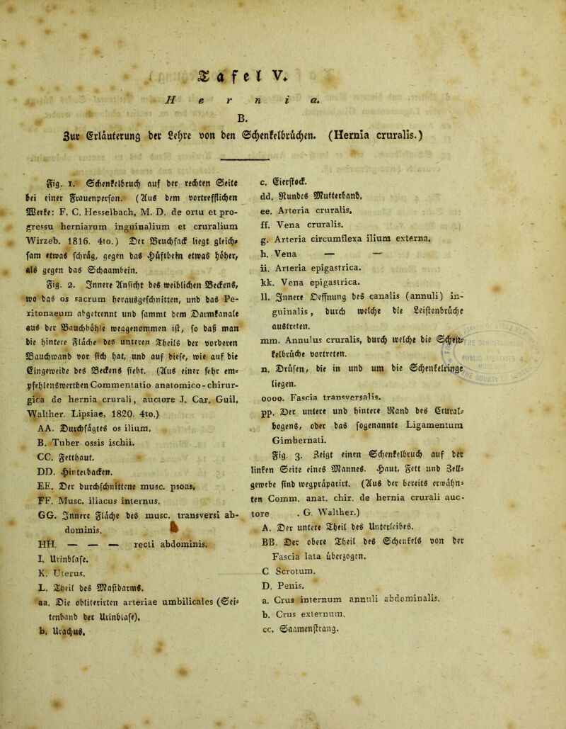 Hern i a. B. 3u« Gjrldutouttö b« 2ef)ve »on ben ©cfyenfelbsftcifKtt. (Hernia cruralis.) gig. i. ©cftenfelbtucf) auf bet rechten ©eite tfi einer grauenpetfon. (21ug bem bortrefflichen 5GBetfe: F. C. Hesselbach, M. D. de ortu et pro- gressu herniarum inguinalium et cruralium Wirzeb. 1816. 4to.) ©er 85rucf)fa<f liegt gleich* fam etwas fd&rdg, gegen baS #üftbeht etwas 1)61>er, «IS gegen bas ©ebaambein. $ig. 2. Snnere 2fnffcf?t beS weiblichen S3ecfenS, tbo baS os sacrum herauSgefdtmtten, unb baS Pe- xitonaeura abgetrennt unb fammt bem ©atmfanale au« ber 95aurf)bot)tc weagenommen ifl, fo bafi matt bie fyinteie gläche bee unteren £heilS ber borberen SBauchwanb bor ftefe Ijat, unb auf biefe, wie auf bie ßingeweibe beS SSecfenS fteht. (21uS einer fetjr ent* pfehlenSwerthen Commentatio anatomico - chirur- gica de hernia crurali, auctore J. Car, Guil, Walther. Lipsiae, 1820. 4to.) AA. ©urchfagteS os ilium, B. Tuber ossis ischii. CC. getraut. DD. £irtetbaden. EE. ©et burchfchnittene musc. psoas, FF. Musc. iliacus internus. GG. Untiere gtdcfye beS musc, transversi ab- dominis, k HH. — — —- recti abdominis, I,. Urinblafe. K. Uterus. L. Spei! beS 9)?aftbarm$. aa, ©ie obliferirten arteriae umbilicales (©ets tenbanb ber Urinblafe), b, Utad;u$, c, (Sierjfecf. dd, StunbcS Stfufterbanb, ee. Arteria cruralis, ff, Vena cruralis. g. Arteria circumflexa ilium externa, h. Vena — — ii. Arteria epigastrica. kk. Vena epigastrica. 11. Snnere ©effnung beS canalis (annuli) in- guinalis, burch welche bie Seiflenbrüdje austreten. mm. Annulus cruralis, bur$ welche bie Scheit? felbrücht bottreten. xx. ©rufen, bie in unb um bie ©chenfeltinge liegen. oooo. Fascia transversalis. pp. ©et untere unb hintere 3?anb bes üruraU hogeng, ober baS fogenannte Ligamentum Gimbernati. gig. 3. £etgt einen ©chenfelbtud) auf ber linfen ©eite eines CSJianneS. $aut, gett unb 3elU geroebe finb wegprdpatitt. (2(u8 ber bereit« ermafjns ten Comm. anat. chir. de hernia crurali auc- tore , G. Walther.) A. ©er untere Speit beS Unterleibes. BB. ©er obere Sheil beS ©eher,felg bon ber Fascia lata ubetjogen, C Scrotum. D. Penis. a. Crus internum annuli abdominalis, h. Crus externum. cc. ©aamenfkang.