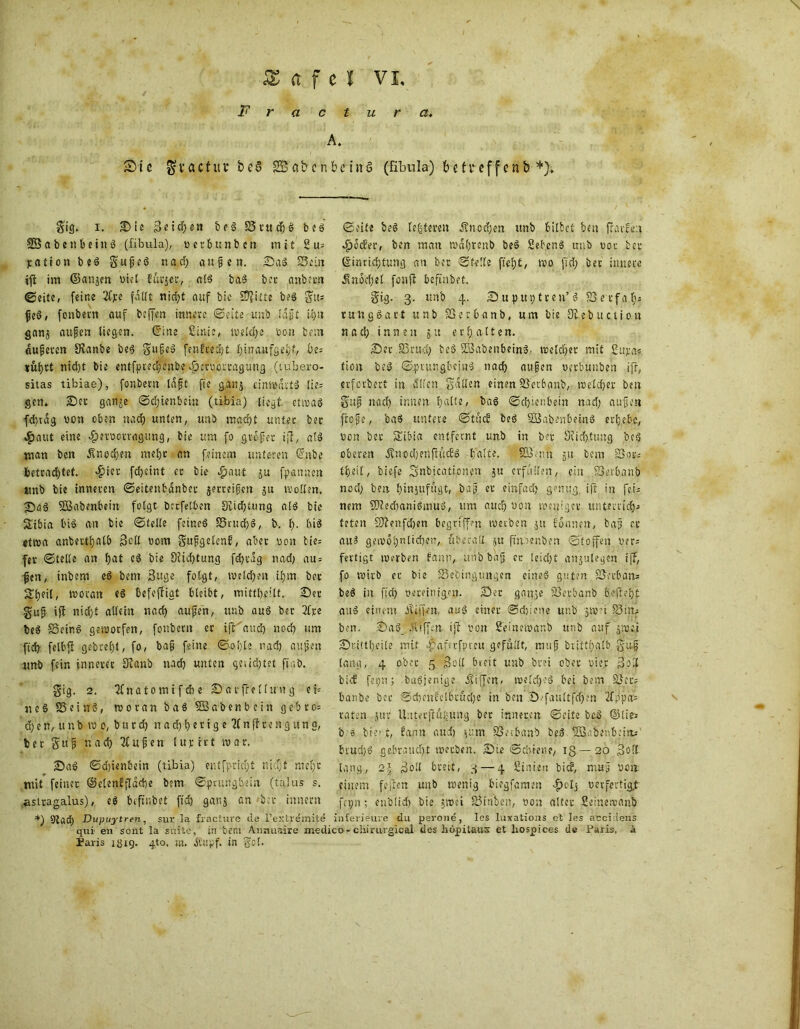 Fractura. A. S)ie gvacfitv* i>e§ SBabenbeinö (fibula) b t treffen b +); gig* i. Die Sei egen beS 35 tu cg S beS äBabenbeinS (fibula), vetbunben mit 2u= jc.fttion be$ gugeS na cf) äugen. DgS Sein ijt im ©anjen viel Fücjer, als baS bec anbern ©eite, feine 2Cjce fallt nidgt auf bie S^itte beS (fit; jjeS, fonbecn auf beffen innere ©eite unb lagt igu ganj äugen liegen. CE'ine ßinie, welche von bem augeren SRanbe beS gujeS fetifrecgt ginaufgegf, be= cügrt ntd)t bie entfpreegenbe ^eruorcagung (luhero- sitas tibiae), fonbecn lagt fte gan$ einwärts lie= gen* Der ganje ©egtenbein (tibia) liegt etwas fcgtdg von oben na cf) unten, unb maegt unter bec «£aut eine «fpervocrag-ung, bie um fo gveger iff, als man ben Änocgen rnege an feinem unteren (ürnbe fcetcad)tet. $iec fegeint ec bie #aut ju fp an nett unb bie inneren ©eitenbdnbec jerreigen ju wollen. DaS SBabenbeitt folgt bctfelben Srtcgcung als bie Sibia bis an bie ©teile feines SrucgS, b. g. bis ettva anbevtgalb Seil vom guggelenF, aber von bie= fer ©teile an gat eS bie Slicgtung fcgtdg nad; au = fjen, tnbem eS bem 3uge folgt, welchen tgm bec Sgeil, woran eS ßefeffigt bleibt, mittgeilt. Der gug ift niegt allein na cg äugen, unb aus ber 2Tpe beS Seir.s geworfen, foubern er ijVaucg noeg um ftdf) felbfl gebregt, fo, bag feine ©ogle naeg äugen unb fein innerer Sianb nßcg unten qewegtet finb. gig. 2. ^fnatomifdie Datffelfung ei= ncS Seins, woran baS SBabenb ein gebro; cg e n, u n b wo, b u r dj n a d) g e r i g e 2C n fl re n g u n g, ber gug nacg 71 ugen luv rrt war. Das ©d)ienbein (tibia) entfpriegt niegt mege mit feiner: ©elenffldcge bem ©prungbein (tajus s. astragalus), eS befinbet fieg ganj an bev innecn ©eite beS festeren itnoegen unb bilbet ben frarfr.t *£>ocFer, ben man wdgrenb beS 2ebenS unb cor bec ©inriegtung an bec ©feile fiegt, wo fid) bec innere Än&gel fonft befinbet. gig. 3. unb 4. Du put)treu’S Setfag; rungSart unb Serbanb, um bie Olebuction n a cg innen 5 u erhalten. Der Srutg beS SBabenbeinS. welcgcr mit ßujeae. tiou beS ©ptungbeinS naeg äugen uerbunben ifr, evferbert in dllen gatten einen Serbanb, welcger ben gug naeg innen gatte, bas ©cgienbein nad; äugen ftoge, baS untere ©tücF beS SBaben&einS ergebe, von bec Sibia entfernt unb in ber Sücgttutg beS oberen ÄnocgenftUcES gälte. SBenn gu bem Sore tgeif, biefe Snbicationen gu erfüllen, ein Serbanb noeg ben ginjufugt, bag er einfaeg genug, ifr in fei; nem 2)?ecganiSmuS, um aueg von weniger unterlieg; teten Sttenfdjen begriffen werben ,511 Formen, bag ec auS gewognlideen, überall gu ftn.ier.ben ©toffen v?r= fertigt mrrben Fantv unb bag er [eiegt anjutegen igf, fo wirb er bie Sebingungcn eines guten SJevb.ätts beS in fid) vereinigen. Der gange Serbanb beftegt auS einem Riffen, auS einer ©d)iene unb jw?i Situ ben. DaS_ Riffen ijl von Beinewanb unb auf gwei Driugctle mit .Jpafttfpreu gefüllt, mug briftgalb gug lang, 4 ober 5 Soll bieit unb brei ober vier Soll bicF fegn; baSjenige Riffen, welcgcS bei bem Ser; banbe ber ©cgenFclbtücge in ben Defaultfcgen 2fpp'a'; raten jur Uuterflügung ber inneren ©eite beS ©lie; b 0 bie» t, fann aud) jum Serbanb beS SBabenbeitu brud)S gebraucht werben. Die ©egtene, 13 — 20 S°tt lang, 2\ Soll breit, 3 — 4 Siniert bicF, mag voa einem feilen unb wenig biegfamen ^olj verfertig,t fcpn; enbüd) bie jwei Sinben, von alter Seinewanb *) 9tad) Dupuytren, sur la fracture da l’extremite inferieure du perone, les luxations et Ies acci iens qui en sont la sufte, in bem Anauaire medico-chirurgical des höpitaux et liospices de Paris, ä Paris JÖ19. 410. in, Äispf. in got.