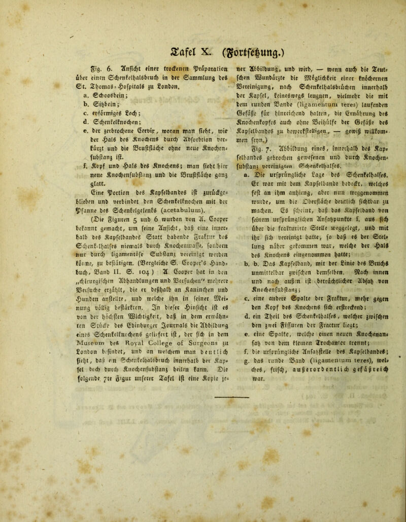 £afel X. (gortfc|uttßO gig. 6. 2Tnftcf)t «inet trodenen sprdpatation übet einen ©d)enfe(halgbrud) in bet ©ammlung beS ©t. £t)omag = £ofpitalg gu 2onbon. a. ©choogbein; b. ©ihbein; c. epformigeg £nd); d. ©djenfclfnodjen; e. ber jetbrodjene (5ert>ip, woran man fteht, wie ber $alg beg .Snocheng burcf) tfbforbtion Der» fürgt unb bie 85cuftfläcf)e ohne neue .Knochen» fubflang ifl. f. .Kopf unb £at$ beg .Knodjeng; man ftebt t)ier neue ünochenfubflang unb bie SSrujlfldche gang glatt. @ine Portion beg jtapfelbanbeg ifl jutüdge» blieben unb Derbinbet ben ©cbenfelfnochen mit bet Pfanne beS ©djenfelgelenlg (acetabulum). (Sie giguren 5 unb 6 würben Don 2b. (üooper befannt gemadjt, um feine TCnftdjf, bafj eine inner» halb beg Äapfelbanbeg ©tatt Ijabenbe gcaftur beg ©d)enMl)alfeei niemals buvd) Änodjemnaffe, fonöetn nur burd) ligamentofe ©ubilang bereinigt werben fonne, ju befratigert. (Bergleiche ©. Gooper’g dpanb» bud), SSanb II. @. 104) 21 ßooper l)at in feen „djicurgifcljen 2(fct)anblungen unb Bcifuchen mehrere Berfuche ergabt, bie et bepl)alb an Kaninchen unb ,£unben anflelite, unb weldje il>n in feinet Tiei» nung Dollig beflarften. Sn biefec ^)inftd)t ifl ei »on bet ^odjflen 9Btd)tigfeit, bafj in bem ermahn» ten ©tude beg Gfbinburget Soutnalg bie 2fbbilbung «ineg ©djenfelfnccbeng geliefert ifl, bet ft'd) in bem Museum beS Royal College o£ Suvgeons 51t £onbon brftnbet, unb an welchem man beutlid) ftel)t, bafj ein ©cbenfelbalebtud) innerhalb ber .Kap» fei brd) butd) Änadjenfubflang heilen fann. Sie foigenbe 7te gigur unfetet 2afel ifl eine .Kopie je» net Hbbitbung, unb wirb, — wenn auch bie £eut» feben SBunbacgte bie ffftogtiddeit einet fnoebernen Bereinigung, nach ©chenfelhalSbtuchen innerhalb bet Äapfel, feinegwegg leugnen, Dielmehr bie mit bem runben Banbc (ligamentum teres) laufenben ©efafje für btnteichenb galten, bie (Srnahrung beg ÄnochenfopfeS aud) ohne Beihilfe ber ©efafje beg ÄapfelbanbeS ju bewctfjlcU'gcn, — gewifj mülfom» men fepn.) gig. 7. Qfbbilbung eineg, innerhalb beg jfap» felbanbeg gebrochen gewefenen unb burch Änodjen- fubflanj Deteinigtcn ©ehenfelhalfeS. a. Sie utfprungliche Sage beg ©djenfelhalfeS. 6t wat mit bem Äapfelbanbe bebedt, weld;eS fefl an ihm anl)icng, aber nun weggenommen würbe, um bie Sbevfladje beutlid) fichtbar ju machen. dg fdjeint, bafj bas Kapfelbanb Don feinem urfprüngliden Knfa£punfte f. aus ftd) ttbec bie fcaüturirte ©teile weggclegt, unb mit ihr fid) bereinigt hatte, fo baff eg bet ©tel* lung nahet gefommen wat, welche bet $alg beö Änod)enö eingenommen h“ttc5 b. b. Sag Äapfelbanb, mit bet ginie beg Brud)S unmittelbat gwifdjen bemfelben. 9lad) innen unb nad) aufj.n ifl .beträchtlicher '■tfbfafc Don .Knccbenfubflang; c. eine anbere ©palte bet graftur, mehr gegen ben Äopf beg .Knocheng ft'd) erflretfenb; d. ein Slheil beg ©chenfelhalfeg, weichet gwifdjen ben gwei giffuten bet gractut liegt; e. eine ©palte, welche einen neuen Änodjenan* fah Don bem fleinen 2rod)antec trennt; f. bie utfprungliche ülnfalsflelle beg ÄapfelbanbeS; g. bag runbe Banb (ligamentum teres), wel» dheg, frifd), auperotb entlieh gef dpt eich war.