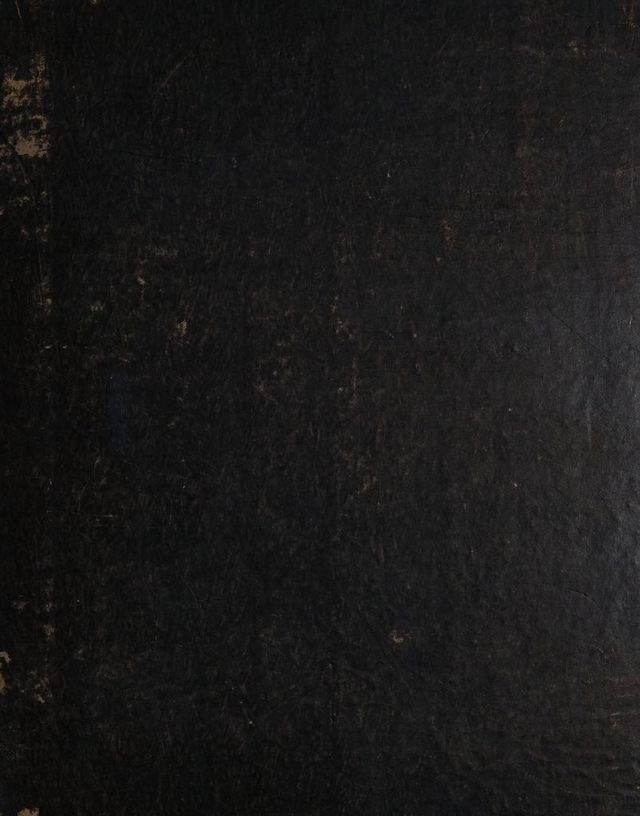 digitised image 1