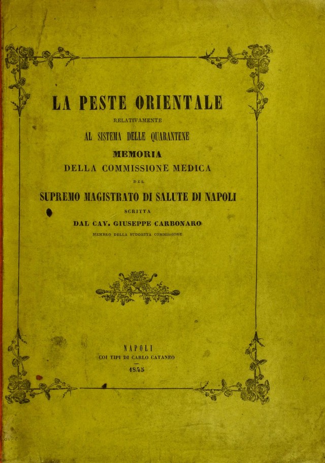digitised image 1