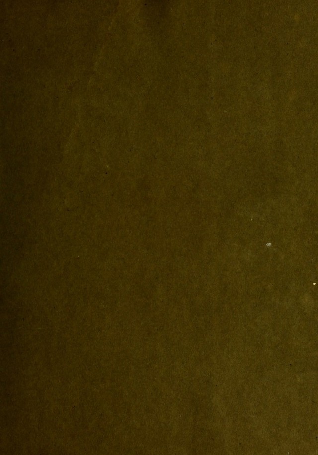 digitised image 3