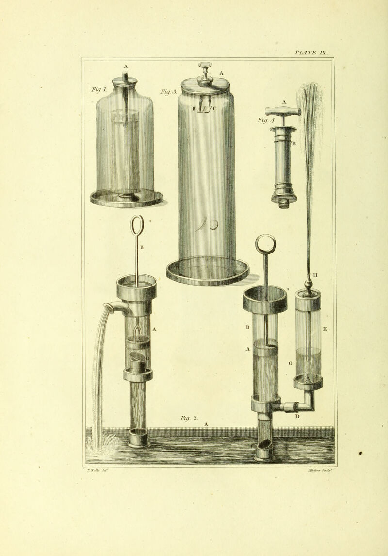 Plate ix. T.yobU del^