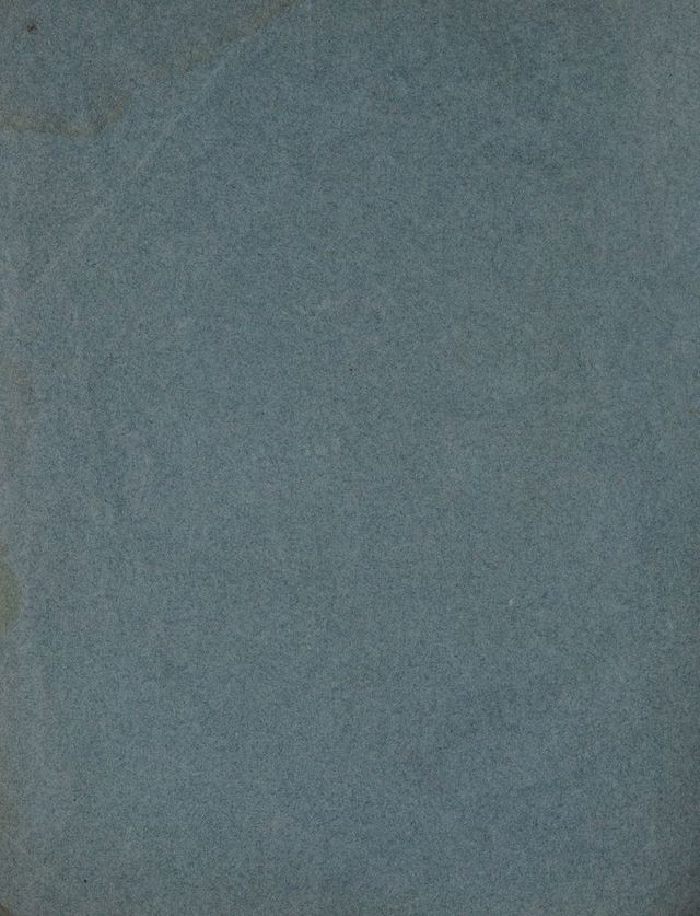 digitised image 2