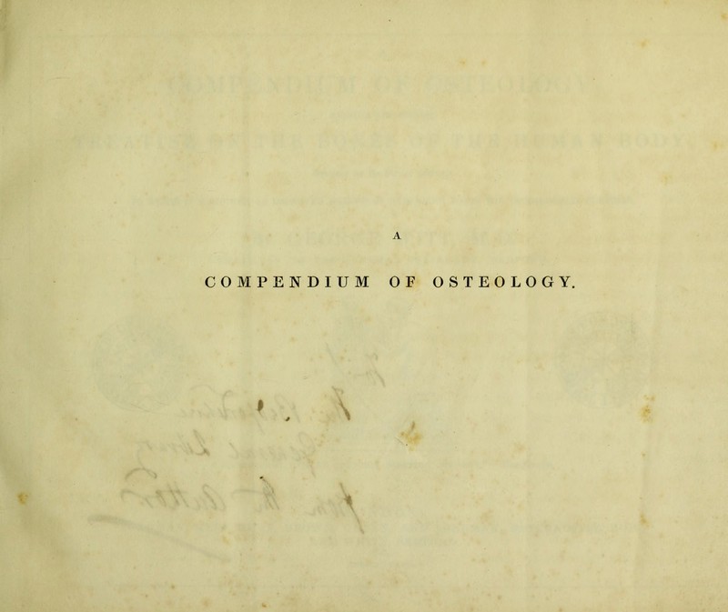 A COMPENDIUM OF OSTEOLOGY.