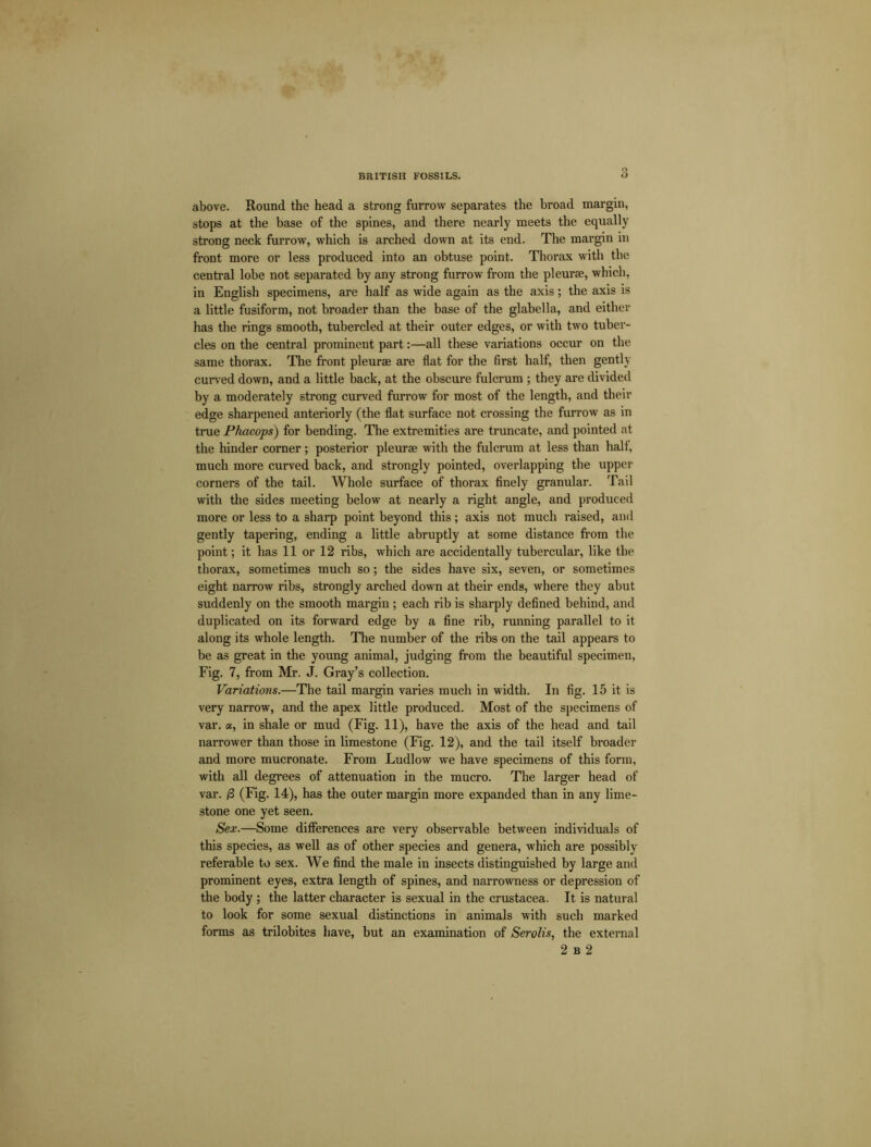 above. Round the head a strong furrow separates the broad margin, stops at the base of the spines, and there nearly meets the equally strong neck furrow, which is arched down at its end. The margin in front more or less produced into an obtuse point. Thorax with the central lobe not separated by any strong furrow from the pleurae, which, in English specimens, are half as wide again as the axis; the axis is a little fusiform, not broader than the base of the glabella, and either has the rings smooth, tubercled at their outer edges, or with two tuber- cles on the central prominent part:—all these variations occur on the same thorax. The front pleurae are flat for the first half, then gently curved down, and a little back, at the obscure fulcrum ; they are divided by a moderately strong curved furrow for most of the length, and their edge sharpened anteriorly (the flat surface not crossing the furrow as in true Phacops) for bending. The extremities are truncate, and pointed at the hinder corner; posterior pleurae with the fulcrum at less than halt, much more curved back, and strongly pointed, overlapping the upper corners of the tail. Whole surface of thorax finely granular. Tail with the sides meeting below at nearly a right angle, and produced more or less to a sharp point beyond this; axis not much raised, and gently tapering, ending a little abruptly at some distance from the point; it has 11 or 12 ribs, which are accidentally tubercular, like the thorax, sometimes much so; the sides have six, seven, or sometimes eight narrow ribs, strongly arched down at their ends, where they abut suddenly on the smooth margin ; each rib is sharply defined behind, and duplicated on its forward edge by a fine rib, running parallel to it along its whole length. The number of the ribs on the tail appears to be as great in the young animal, judging from the beautiful specimen, Fig. 7, from Mr. J. Gray’s collection. Variations.—The tail margin varies much in width. In fig. 15 it is very narrow, and the apex little produced. Most of the specimens of var. «, in shale or mud (Fig. 11), have the axis of the head and tail narrower than those in limestone (Fig. 12), and the tail itself broader and more mucronate. From Ludlow we have specimens of this form, with all degrees of attenuation in the mucro. The larger head of var. /3 (Fig. 14), has the outer margin more expanded than in any lime- stone one yet seen. Sex.—Some differences are very observable between individuals of this species, as well as of other species and genera, which are possibly referable to sex. We find the male in insects distinguished by large and prominent eyes, extra length of spines, and narrowness or depression of the body ; the latter character is sexual in the Crustacea. It is natural to look for some sexual distinctions in animals with such marked forms as trilobites have, but an examination of Serolis, the external 2 b 2