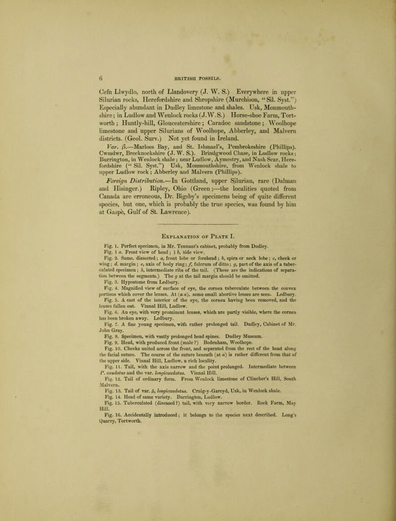 Cefn Llwydlo, north of Llandovery (J. W. S.) Everywhere in upper Silurian rocks, Herefordshire and Shropshire (Murchison, “ Sil. Syst.”) Especially abundant in Dudley limestone and shales. Usk, Monmouth- shire ; in Ludlow and Wenlock rocks (J. W. S.) Horse-shoe Farm, Tort- worth ; Huntly-hill, Gloucestershire; Caradoc sandstone; Woolhope limestone and upper Silurians of Woolhope, Abberley, and Malvern districts. (Geol. Surv.) Not yet found in Ireland. Var. /3.—Marloes Bay, and St. Ishmael’s, Pembrokeshire (Phillips). Cwmdwr, Brecknockshire (J. W. S.). Brindgwood Chase, in Ludlow rocks; Burlington, in Wenlock shale ; near Ludlow, Aymestry, and Nash Scar, Here- fordshire (“ Sil. Syst.”) Usk, Monmouthshire, from Wenlock shale to upper Ludlow rock ; Abberley and Malvern (Phillips). Foreign Distribution.—In Gottland, upper Silurian, rare (Dalman and Hisinger.) Ripley, Ohio (Green;—the localities quoted from Canada are erroneous, Dr. Bigsby’s specimens being of quite different species, but one, which is probably the true species, was found by him at Gaspe, Gulf of St. Lawrence). Explanation of Plate I. Fig. 1. Perfect specimen, in Mr. Tennant’s cabinet, probably from Dudley. Fig. 1 a. Front view of head ; 1 b, side view. Fig. 2. Same, dissected; a, front lobe or forehead; b, spira or neck lobe; c, cheek or wing ; d, margin ; e, axis of body ring; /, fulcrum of ditto; g, part of the axis of a tuber- culated specimen ; h, intermediate ribs of the tail. (These are the indications of separa- tion between the segments.) The g at the tail margin should be omitted. Fig. 3. Hypostome from Ledbury. Fig. 4. Magnified view of surface of eye, the cornea tuberculate between the convex portions which cover the lenses. At (a a), some small abortive lenses are seen. Ledbury. Fig. 5. A cast of the interior of the eye, the cornea having been removed, and the lenses fallen out. Vinnal Hill, Ludlow. Fig. 6. An eye, with very prominent lenses, which are partly visible, where the cornea has been broken away. Ledbury. Fig. 7. A fine young specimen, with rather prolonged tail. Dudley, Cabinet of Mr. John Gray. Fig. 8. Specimen, with vastly prolonged head spines. Dudley Museum. Fig. 9. Head, with produced front (male ?) Bodenham, Woolhope. Fig. 10. Cheeks united across the front, and separated from the rest of the head along the facial suture. The course of the suture beneath (at a) is rather different from that of the upper side. Vinnal Hill, Ludlow, a rich locality. Fig. 11. Tail, with the axis narrow and the point prolonged. Intermediate between P. caudatus and the var. longicaudatus. Vinnal Hill. Fig. 12. Tail of ordinary form. From Wenlock limestone of Clincher’s Hill, South Malvern. Fig. 13. Tail of var. p>, longicaudatus. Craig-y-Garcyd, Usk, in Wenlock shale. Fig. 14. Head of same variety. Burrington, Ludlow. Fig. 15. Tuberculated (diseased?) tail, with very narrow border. Kock Farm, May Hill. Fig. 16. Accidentally introduced; it belongs to the species next described. Long’s Quarry, Tortworth.