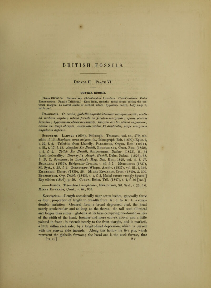 Decade II. Plate VI. OGYGIA BUCHII. [Genus OGYGIA. Brongniart. (Sub-kingdom Articulata. Class Crustacea. Order Entomostraca. Family Trilobitse.) Eyes large, smooth ; facial suture cutting the pos- terior margin; no rostral shield or vertical suture; hypostome entire; body rings 8; tail large.] Diagnosis. O. ovalis, glabella angusla utrinque quinquesnlcatu; oculis ad medium capitis; sutura faciali ad frontem marginali; spinis posticis brevibus; hypostomate obtuse acuminato; thoracis axi bis pleura angustiore; caudce axi longo abrupto; sulcis lateralibus 12 duplicatis, prope marginem angulatim dejlexis. Synonyms. Llhwyd (1698), Philosoph. Transact., vol. xx., 279, tab. addit., f. 15. Buglossa curtu strigosa, ib., Ichnograph. Brit. (1690), Epist. 1, t. 22, f. 2. Trilobite from Llanelly, Parkinson, Organ. Rem. (1811), v. iii., t. 17, f. 13. Asaphus De Buchii, Brongniart, Crust. Foss. (1822), t. 2, f. 2. Trilob. De Buchii, Schlotheim, Nachtr. (1823), ii., 34 (excl. the locality, “ Norway.”) Asaph. Buchii, Dalm. Palead. (1826), 68. J. D. C. Sowerby, in Loudon’s Mag. Nat. Hist., 1829, vol. ii., f. 27. Buckland (1836), Bridgwater Treatise, t. 46, f. 7. Murchison (1837), Sil. Syst., t. 25, f. 2. Quenstedt, Wiegm. Archiv. (1837), vol. iii., 1, 346. Emmerich, Dissert. (1839), 28. Milne Edwards, Crust. (1840), 3, 309. Burmeister, Org. Trilob. (1843), t. 1, f. 2, [facial suture wrongly figured.] Ray edition (1846), p. 59. Corda, Bohm. Tril. (1847), t. 4, f. 39 [bad.] Junior. Trinucleus ? asaphoides, Murchison, Sil. Syst., t. 23, f. 6. Milne Edwards, Crust., v. iii., 333. Description.—Length occasionally near seven inches, generally three or four ; proportion of length to breadth from 6:5 to 6 : 4, a consi- derable variation. General form a broad depressed oval, the head nearly semicircular and as long as the thorax, the tail semi-elliptical and longer than either ; glabella at its base occupying one-fourth or less of the width of the head, broader and more convex above, and a little pointed in front; it extends nearly to the front margin, and is marked, a little within each side, by a longitudinal depression, which is curved with the convex side inwards. Along this hollow lie five pits, which represent the glabella furrows; the basal one is the neck furrow, that [ii. vi.] 2 f