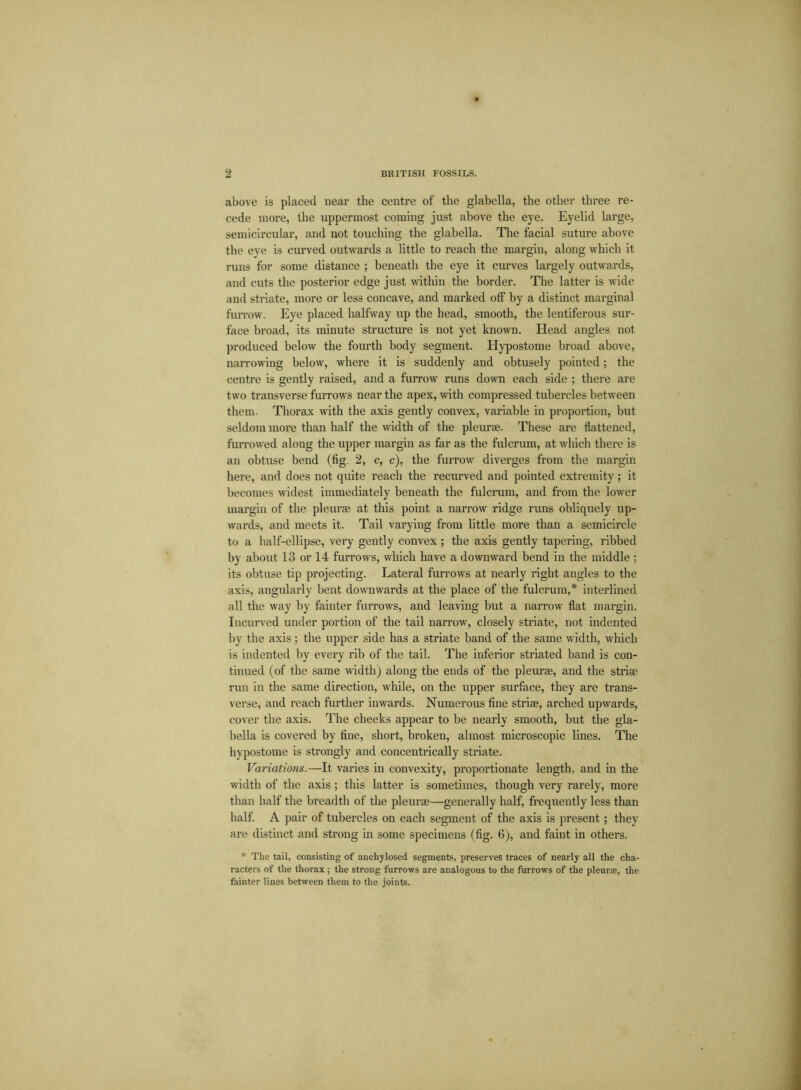 above is placed near the centre of the glabella, the other three re- cede more, the uppermost coming just above the eye. Eyelid large, semicircular, and not touching the glabella. The facial suture above the eye is curved outwards a little to reach the margin, along which it runs for some distance ; beneath the eye it curves largely outwards, and cuts the posterior edge just within the border. The latter is wide and striate, more or less concave, and marked off by a distinct marginal furrow. Eye placed halfway up the head, smooth, the lentiferous sur- face broad, its minute structure is not yet known. Head angles not produced below the fourth body segment. Hypostome broad above, narrowing below, where it is suddenly and obtusely pointed; the centre is gently raised, and a furrow runs down each side ; there are two transverse furrows near the apex, with compressed tubercles between them. Thorax with the axis gently convex, variable in proportion, but seldom more than half the width of the pleurae. These are flattened, furrowed along the upper margin as far as the fulcrum, at which there is an obtuse bend (fig. 2, c, c), the furrow diverges from the margin here, and does not quite reach the recurved and pointed extremity; it becomes widest immediately beneath the fulcrum, and from the lower margin of the pleurae at this point a narrow ridge runs obliquely up- wards, and meets it. Tail varying from little more than a semicircle to a half-ellipse, very gently convex; the axis gently tapering, ribbed by about 13 or 14 furrows, which have a downward bend in the middle : its obtuse tip projecting. Lateral furrows at nearly right angles to the axis, angularly bent downwards at the place of the fulcrum,* interlined all the way by fainter furrows, and leaving but a narrow flat margin. Incurved under portion of the tail narrow, closely striate, not indented by the axis : the upper side has a striate band of the same width, which is indented by every rib of the tail. The inferior striated band is con- tinued (of the same width) along the ends of the pleurae, and the striae run in the same direction, while, on the upper surface, they are trans- verse, and reach further inwards. Numerous fine striae, arched upwards, cover the axis. The cheeks appear to be nearly smooth, hut the gla- bella is covered by fine, short, broken, almost microscopic lines. The hypostome is strongly and concentrically striate. Variations.—It varies in convexity, proportionate length, and in the width of the axis ; this latter is sometimes, though very rarely, more than half the breadth of the pleurae—generally half, frequently less than half. A pair of tubercles on each segment of the axis is present; they are distinct and strong in some specimens (fig. 6), and faint in others. * The tail, consisting of anchylosed segments, preserves traces of nearly all the cha- racters of the thorax ; the strong furrows are analogous to the furrows of the pleura, the fainter lines between them to the joints.