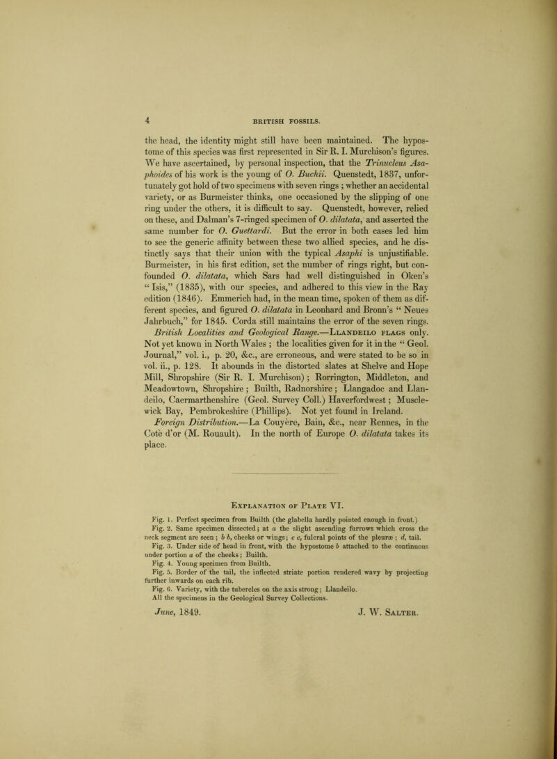 the head, the identity might still have been maintained. The hypos- tome of this species was first represented in Sir R. I. Murchison’s figures. We have ascertained, by personal inspection, that the Trinucleus Asa- phoides of his work is the young of O. Buchii. Quenstedt, 1837, unfor- tunately got hold of two specimens with seven rings ; whether an accidental variety, or as Burmeister thinks, one occasioned by the slipping of one ring under the others, it is difficult to say. Quenstedt, however, relied on these, and Dalman’s 7-ringed specimen of 0. dilatata, and asserted the same number for O. Guettardi. But the error in both cases led him to see the generic affinity between these two allied species, and he dis- tinctly says that their union with the typical Asaphi is unjustifiable. Burmeister, in his first edition, set the number of rings right, but con- founded O. dilatata, which Sars had well distinguished in Oken’s “ Isis,” (1835), with our species, and adhered to this view in the Ray edition (1846). Emmerich had, in the mean time, spoken of them as dif- ferent species, and figured 0. dilatata in Leonhard and Bronn’s “ Neues Jahrbuch,” for 1845. Corda still maintains the error of the seven rings. British Localities and Geological Range.—Llandeilo flags only. Not yet known in North Wales ; the localities given for it in the “ Geol. Journal,” vol. i., p. 20, &c., are erroneous, and were stated to be so in vol. ii., p. 128. It abounds in the distorted slates at Shelve and Hope Mill, Shropshire (Sir R. I. Murchison) ; Rorrington, Middleton, and Meadowtown, Shropshire ; Builth, Radnorshire ; Llangadoc and Llan- deilo, Caermarthenshire (Geol. Survey Coll.) Haverfordwest; Muscle- wick Bay, Pembrokeshire (Phillips). Not yet found in Ireland. Foreign Distribution.—La Couyere, Bain, &c., near Rennes, in the Cote d’or (M. Rouault). In the north of Europe O. dilatata takes its place. Explanation of Plate VI. Fig. 1. Perfect specimen from Builth (the glabella hardly pointed enough in front.) Fig. 2. Same specimen dissected; at a the slight ascending furrows which cross the neck segment are seen ; b b, cheeks or wings; c c, fulcral points of the pleurae ; d, tail. Fig. 3. Under side of head in front, with the hypostome b attached to the continuous under portion a of the cheeks ; Builth. Fig. 4. Young specimen from Builth. Fig. 5. Border of the tail, the inflected striate portion rendered wavy by projecting further inwards on each rib. Fig. 6. Variety, with the tubercles on the axis strong; Llandeilo. All the specimens in the Geological Survey Collections.