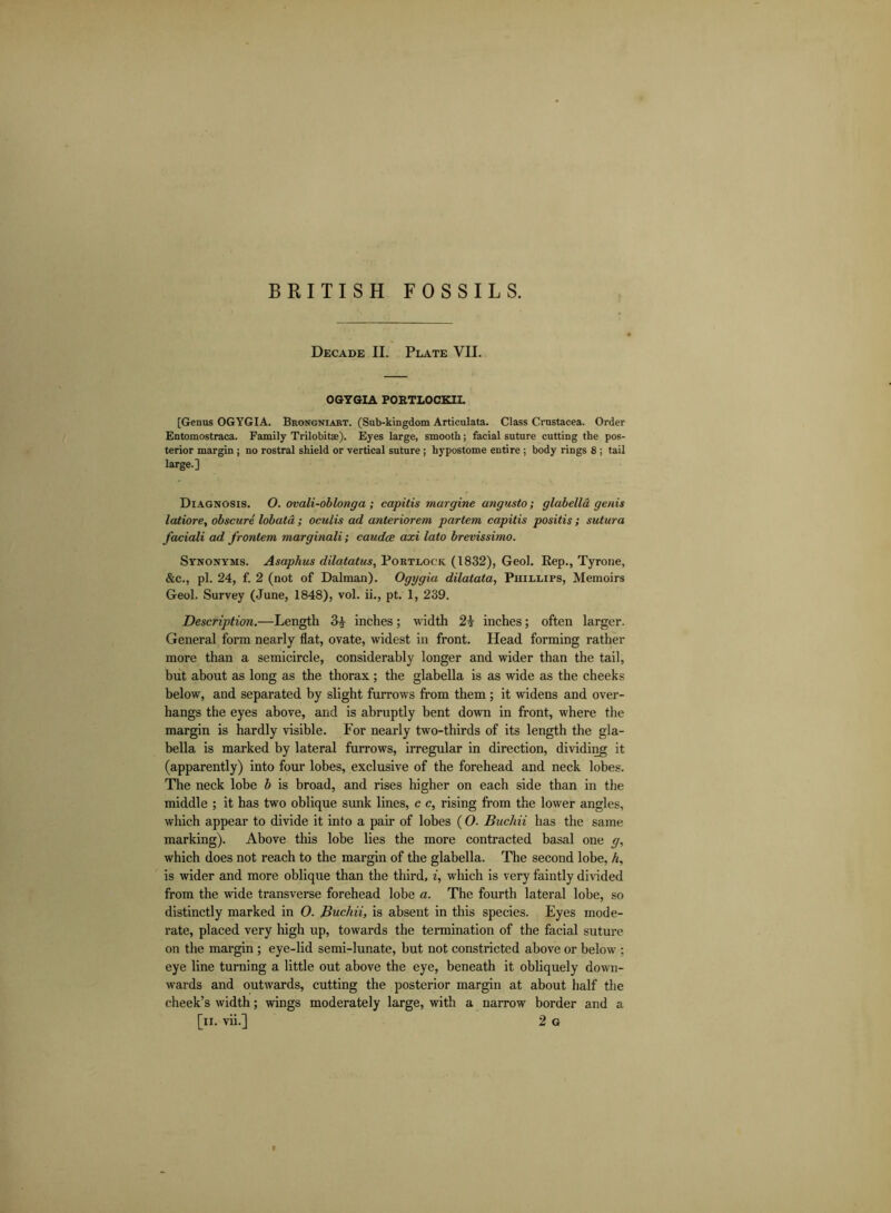 Decade II. Plate VII. OGYGIA PORTLOCKLL [Genus OGYGIA. Brongniart. (Sub-kingdom Articulata. Class Crustacea. Order Entomostraca. Family Trilobitae). Eyes large, smooth; facial suture cutting the pos- terior margin ; no rostral shield or vertical suture ; hypostome entire ; body rings 8 ; tail large.] Diagnosis. O. ovali-oblonga ; capitis margine angusto; glabella genis latiore, obscure lobata ; oculis ad anteriorem partem capitis positis; sutura faciali ad frontem marginali; caudce axi lato brevissimo. Synonyms. Asaphus dilatatus, Portlock (1832), Geol. Rep., Tyrone, &c., pi. 24, f. 2 (not of Dalman). Ogygia dilatata, Phillips, Memoirs Geol. Survey (June, 1848), vol. ii., pt. 1, 239. Description.—Length 3£ inches; width 2i inches; often larger. General form nearly flat, ovate, widest in front. Plead forming rather more than a semicircle, considerably longer and wider than the tail, but about as long as the thorax; the glabella is as wide as the cheeks below, and separated by slight furrows from them ; it widens and over- hangs the eyes above, and is abruptly bent down in front, where the margin is hardly visible. For nearly two-thirds of its length the gla- bella is marked by lateral furrows, irregular in direction, dividing it (apparently) into four lobes, exclusive of the forehead and neck lobes. The neck lobe b is broad, and rises higher on each side than in the middle ; it has two oblique sunk lines, c c, rising from the lower angles, which appear to divide it into a pair of lobes (O. Buchii has the same marking). Above this lobe lies the more contracted basal one g, which does not reach to the margin of the glabella. The second lobe, /<, is wider and more oblique than the third, i, which is very faintly divided from the wide transverse forehead lobe a. The fourth lateral lobe, so distinctly marked in O. Buchii, is absent in this species. Eyes mode- rate, placed very high up, towards the termination of the facial suture on the margin ; eye-lid semi-lunate, hut not constricted above or below ; eye line turning a little out above the eye, beneath it obliquely down- wards and outwards, cutting the posterior margin at about half the cheek’s width; wings moderately large, with a narrow border and a