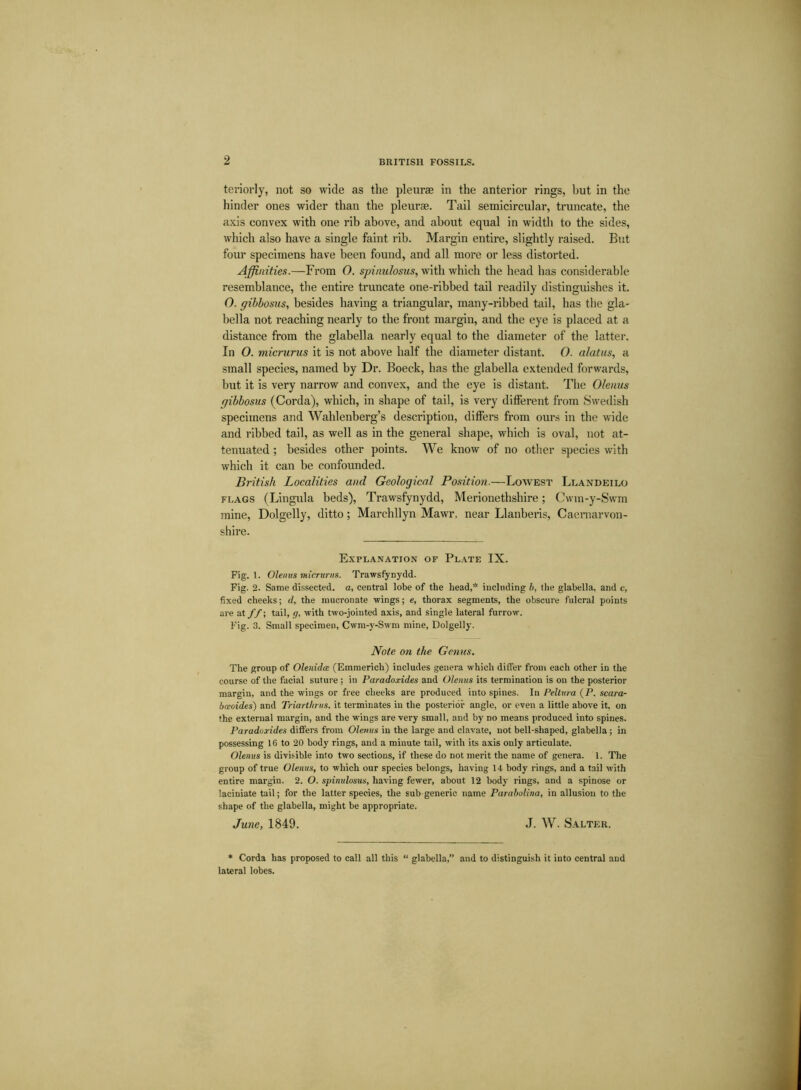 teriorly, not so wide as the pleurae in the anterior rings, but in the hinder ones wider than the pleurae. Tail semicircular, truncate, the axis convex with one rib above, and about equal in width to the sides, which also have a single faint rib. Margin entire, slightly raised. But four specimens have been found, and all more or less distorted. Affinities.—From O. spinulosus, with which the head has considerable resemblance, the entire truncate one-ribbed tail readily distinguishes it. O. gibbosus, besides having a triangular, many-ribbed tail, has the gla- bella not reaching nearly to the front margin, and the eye is placed at a distance from the glabella nearly equal to the diameter of the latter. In O. micrurus it is not above half the diameter distant. O. alatus, a small species, named by Dr. Boeck, has the glabella extended forwards, but it is very narrow and convex, and the eye is distant. The Olenus gibbosus (Corda), which, in shape of tail, is very different from Swedish specimens and Wahlenberg’s description, differs from ours in the wide and ribbed tail, as well as in the general shape, which is oval, not at- tenuated ; besides other points. We know of no other species with which it can be confounded. British Localities and Geological Position.—Lowest Llandeilo flags (Lingula beds), Trawsfynydd, Merionethshire; Cwm-y-Swm mine, Dolgelly, ditto; Marehllyn Mawr, near Llanberis, Caernarvon- shire. Explanation of Plate IX. Fig. 1. Olenus micrurus. Trawsfynydd. Fig. 2. Same dissected, a, central lobe of the head,* including b, the glabella, and c, fixed cheeks; d, the mucronate wings; e, thorax segments, the obscure fulcral points are at f /; tail, g, with two-jointed axis, and single lateral furrow. Fig. 3. Small specimen, Cwm-y-Swm mine, Dolgelly. Note on the Genus. The group of Olenidoe (Emmerich) includes genera which differ from each other in the course of the facial suture ; in Paradoxides and Olenus its termination is on the posterior margin, and the wings or free cheeks are produced into spines. In Pellura (P. scara- breoides) and Triarthrus, it terminates in the posterior angle, or even a little above it. on the external margin, and the wings are very small, and by no means produced into spines. Paradoxides differs from Olenus in the large and clavate, not bell-shaped, glabella ; in possessing 16 to 20 body rings, and a minute tail, with its axis only articulate. Olenus is divisible into two sections, if these do not merit the name of genera. 1. The group of true Olenus, to which our species belongs, having 14 body rings, and a tail with entire margin. 2. O. spinulosus, having fewer, about 12 body rings, and a spinose or laciniate tail; for the latter species, the sub generic name Parabolina, in allusion to the shape of the glabella, might be appropriate. June, 1849. J. W. Salter. * Corda has proposed to call all this “ glabella,” and to distinguish it into central and lateral lobes.