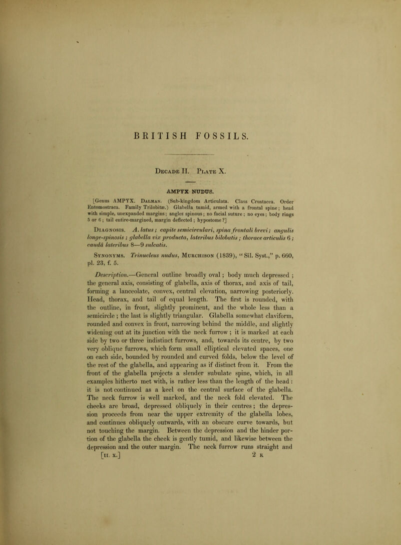 Decade II. Plate X. AMPYX NUDUS. [Genus AMPYX. Dalman. (Sub-kingdom Articulata. Class Crustacea. Order Entomostraca. Family Trilobitae.) Glabella tumid, armed with a frontal spine; head with simple, uuexpanded margins; angles spinous; no facial suture ; no eyes; body rings 5 or 6 ; tail entire-margined, margin deflected ; hypostome ?] Diagnosis. A.latus; capite semicirculari, spina frontali brevi; angulis longe-spinosis; glabella vix producta, lateribus bilobatis ; thorace articulis 6; cauda lateribus 8—9 sulcatis. Synonyms. Trinucleus nudus, Murchison (1839), “Sil. Syst.,” p. 660, pi. 23, f. 5. Description.—General outline broadly oval; body much depressed ; the general axis, consisting of glabella, axis of thorax, and axis of tail, forming a lanceolate, convex, central elevation, narrowing posteriorly. Head, thorax, and tail of equal length. The first is rounded, with the outline, in front, slightly prominent, and the whole less than a semicircle ; the last is slightly triangular. Glabella somewhat claviform, rounded and convex in front, narrowing behind the middle, and slightly widening out at its junction with the neck furrow ; it is marked at each side by two or three indistinct furrows, and, towards its centre, by two very oblique furrows, which form small elliptical elevated spaces, one on each side, bounded by rounded and curved folds, below the level of the rest of the glabella, and appearing as if distinct from it. From the front of the glabella projects a slender subulate spine, which, in all examples hitherto met with, is rather less than the length of the head : it is not continued as a keel on the central surface of the glabella. The neck furrow is well marked, and the neck fold elevated. The cheeks are broad, depressed obliquely in their centres; the depres- sion proceeds from near the upper extremity of the glabella lobes, and continues obliquely outwards, with an obscure curve towards, but not touching the margin. Between the depression and the hinder por- tion of the glabella the cheek is gently tumid, and likewise between the depression and the outer margin. The neck furrow runs straight and [n. x.] 2 K