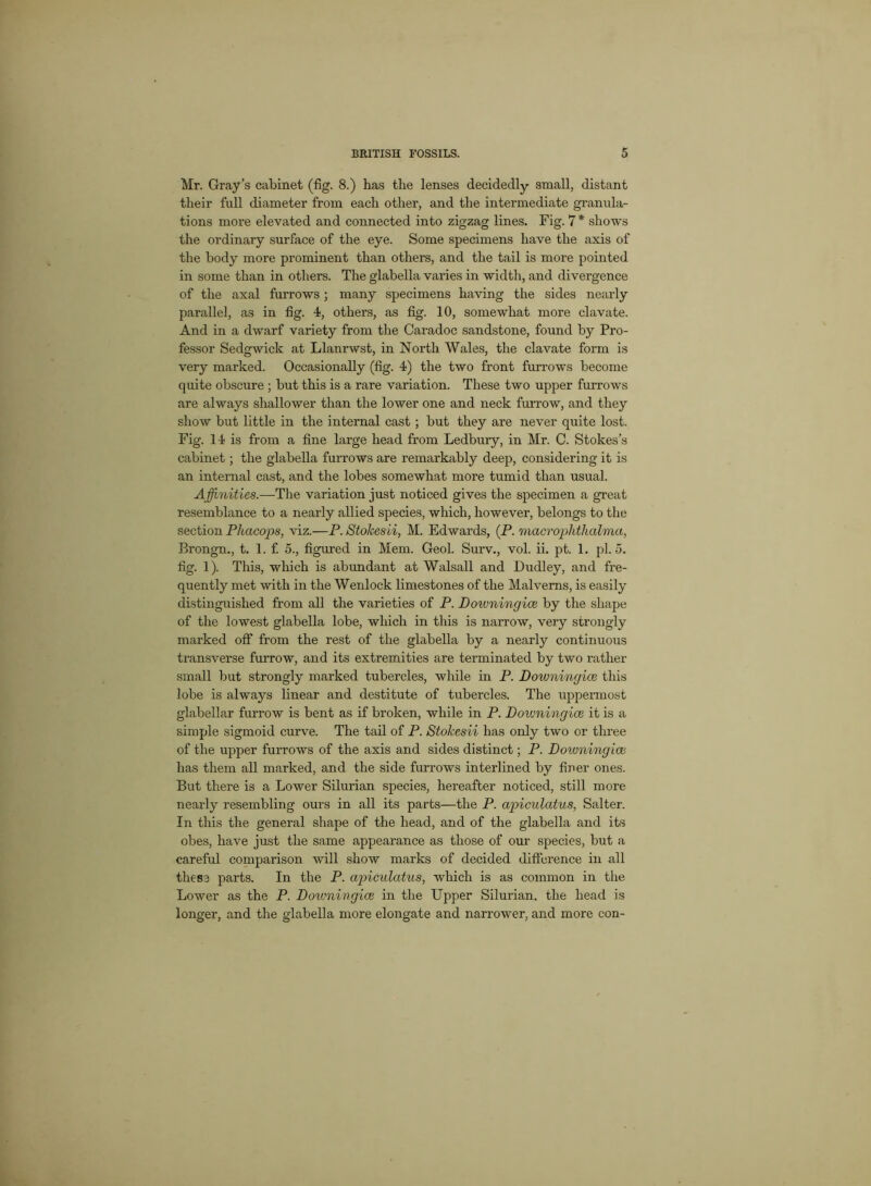 Mr. Gray’s cabinet (fig. 8.) has the lenses decidedly small, distant their full diameter from each other, and the intermediate granula- tions more elevated and connected into zigzag lines. Fig. 7* shows the ordinary surface of the eye. Some specimens have the axis of the body more prominent than others, and the tail is more pointed in some than in others. The glabella varies in width, and divergence of the axal furrows; many specimens having the sides nearly parallel, as in fig. 4, others, as fig. 10, somewhat more clavate. And in a dwarf variety from the Caradoc sandstone, found by Pro- fessor Sedgwick at Llanrwst, in North Wales, the clavate form is very marked. Occasionally (fig. 4) the two front furrows become quite obscure ; but this is a rare variation. These two upper furrows are always shallower than the lower one and neck furrow, and they show but little in the internal cast; but they are never quite lost. Fig. 14 is from a fine large head from Ledbury, in Mr. C. Stokes’s cabinet; the glabella furrows are remarkably deep, considering it is an internal cast, and the lobes somewhat more tumid than usual. Affinities.—The variation just noticed gives the specimen a great resemblance to a nearly allied species, which, however, belongs to the section Phacops, viz.—P. Stokes ii, M. Edwards, (P. macrophthalma, Brongn., t. 1. f. 5., figured in Mem. Geol. Surv., vol. ii. pt. 1. pi. 5. fig. 1). This, which is abundant at Walsall and Dudley, and fre- quently met with in the Wenlock limestones of the Malvems, is easily distinguished from all the varieties of P. Downingice by the shape of the lowest glabella lobe, which in this is narrow, very strongly marked off from the rest of the glabella by a nearly continuous transverse furrow, and its extremities are terminated by two rather small but strongly marked tubercles, while in P. Downingice this lobe is always linear and destitute of tubercles. The uppermost glabellar furrow is bent as if broken, while in P. Downingice it is a simple sigmoid curve. The tail of P. Stokesii has only two or three of the upper furrows of the axis and sides distinct; P. Downingice has them all marked, and the side furrows interlined by finer ones. But there is a Lower Silurian species, hereafter noticed, still more nearly resembling ours in all its parts—the P. apiculatus, Salter. In this the general shape of the head, and of the glabella and its obes, have just the same appearance as those of our species, but a careful comparison will show marks of decided difference in all these parts. In the P. apicvlatus, which is as common in the Lower as the P. Doivningice in the Upper Silurian, the head is longer, and the glabella more elongate and narrower, and more con-