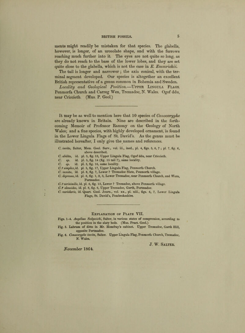 ments might readily be mistaken for that species. The glabella, however, is longer, of an urceolate shape, and with the furrows reaching much further into it. The eyes are not quite so long, as they do not reach to the base of the lower lobes, and they are set quite close to the glabella, which is not the case in E. Emmrichii. The tail is longer and narrower ; the axis conical, with the ter- minal segment developed. Our species is altogether an excellent British representative of a genus common in Bohemia and Sweden. Locality and Geological Position.—Upper Lingula Flags. Penmorfa Church and Carreg Wen, Tremadoc, N. Wales. Ogof ddu, near Criccieth. (Mus. P. Geol.) It may be as well to mention here that 10 species of Conocoryphe are already known in Britain. Nine are described in the forth- coming Memoir of Professor Kamsay on the Geology of North Wales; and a fine species, with highly developed ornament, is found in the Lower Lingula Flags of St. David’s. As the genus must be illustrated hereafter, I only give the names and references. C. invita, Salter, Mem. Geol. Surv., vol. iii., ined., pi. 4, figs. 5, 6, 7 ; pi. 7, fig. 6, above described. C. abdita, id. pi. 5, fig. 13, Upper Lingula Flag, Ogof ddu, near Criccieth. C. sp. id. pi. 5, fig. 14 (fig. 15 tail ?), same locality. C. sp. id. pi. 5, fig. 16, same locality. C.f simplex, id. pi. 5, fig. 17, Upper Lingula Flag, Penmorfa Church. C. vexata, id. pi. 8, fig. 7, Lower ? Tremadoc Slate, Penmorfa village. C. depressa, id. pi. 6, fig. 1, 2, 3, Lower Tremadoc, near Penmorfa Church, and Wern, Portmadoc. C.? verisimilis, id. pi. 6, fig. 13, Lower ? Tremadoc, above Penmorfa village. C.f olenoides, id. pi. 8, fig. 6, Upper Tremadoc, Garth, Portmadoc. C. variolaris, id. Quart. Geol. Joum., vol. xx., pi. xiii., figs. 6, 7, Lower Lingula Flags, St. David’s, Pembrokeshire. Explanation op Plate VII. Figs. 1-4. Angelina Sedgwicki, Salter, in various states of compression, according to the position in the slaty beds. (Mus. Pract. Geol.) Fig. 5. Labrum of ditto in Mr. Homfray’s cabinet. Upper Tremadoc, Garth Hill, opposite Portmadoc. Fig. 6. Conocoryphe invita, Salter. Upper Lingula Flag, Penmorfa Church, Tremadoc, N. Wales. ■> November 1864. J. W. Salter.