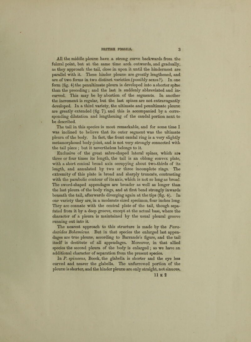 All the middle pleurse have a strong curve backwards from the fulcral point, but at the same time arch outwards, and gradually, as they approach the tail, close in upon it until the liindermost are parallel with it. These hinder pleurae are greatly lengthened, and are of two forms in two distinct varieties (possibly sexes?). In one form (fig. 4) the penultimate pleura is developed into a shorter spine than the preceding; and the last is suddenly abbreviated and in- curved. This may be by abortion of the segments. In another the increment is regular, but the last spines are not extravagantly developed. In a third variety, the ultimate and penultimate pleurse are greatly extended (fig. 7), and this is accompanied by a corre- sponding dilatation and lengthening of the caudal portion next to be described. The tail in this species is most remarkable, and for some time I was inclined to believe that its outer segment was the ultimate pleura of the body. In fact, the front caudal ring is a very slightly metamorphosed body-joint, and is not very strongly connected with the tail piece ; but it nevertheless belongs to it. Exclusive of the great sabre-shaped lateral spines, which are three or four times its length, the tail is an oblong convex plate, with a short conical broad axis occupying about two-thirds of its length, and annulated by two or three incomplete rings. The extremity of this plate is broad and sharply truncate, contrasting with the parabolic contour of its axis, which is not so long as broad. The sword-shaped appendages are broader as well as longer than the last pleura of the body rings, and at first bend strongly inwards beneath the tail, afterwards diverging again at the tips (fig. 4). In one variety they are, in a moderate sized specimen, four inches long. They are connate with the central plate of the tail, though sepa- rated from it by a deep groove, except at the actual base, where the character of a pleura is maintained by the usual pleural groove running out into it. The nearest approach to this structure is made by the Para- doxides Bohemicus. But in that species the enlarged last appen- dages are true pleurae, according to Barrande’s figure, and the tail itself is destitute of all appendages. Moreover, in that allied species the second pleura of the body is enlarged ; so we have an additional character of separation from the present species. In P. spinosus, Boeck, the glabella is shorter and the eye less curved and nearer the glabella. The unfurrowed portion of the pleurse is shorter, and the hinder pleurse are only straight, not sinuous,