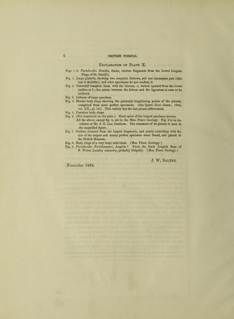 Explanation of Plate X. Figs. 1-6. Paradoxides Davidis, Salter, various fragments from the Lower Lingula Flags of St. David’s. Fig. 1. Large glabella, showing two complete furrows, and one incomplete pair (this last is doubtful), and other specimens do not confirm it. Fig. 2. Tolerably complete head, with the labrum, a, turned upward from the lower surface at b ; the suture between the labrum. and the hypostome is seen to be soldered. Fig. 3. Labrum of large specimen. Fig. 4. Hinder body rings showing the gradually lengthening points of the pleurae, completed from more perfect specimens. (See Quart. Geol. Journ., 1864, vol. XX., pi. 13.) This variety has the last pleura abbreviated. Fig. 5. Posterior body rings. Fig. 6. (Not numbered on the plate.) Head spine of the largest specimen known. All the above, except fig. 2, are in the Mus. Pract. Geology. Fig. 2 is in the cabinet of Mr. J. E. Lee, Caerleon. The ornament of its pleurae is seen in the magnified figure. Fig. 7. Outline, restored from the largest fragments, and nearly coinciding with the size of the largest and nearly perfect specimen since found, and placed in the British Museum. Fig. 8. Body rings of a very large individual. (Mus. Pract. Geology.) Fig. 9. Paradoxides Forchhammeri, Angelin ? From the black Lingula flags of N. Wales, Locality unknown, probably Dolgelly. (Mus. Pract. Geology.) November 1864. J. W. Salter.