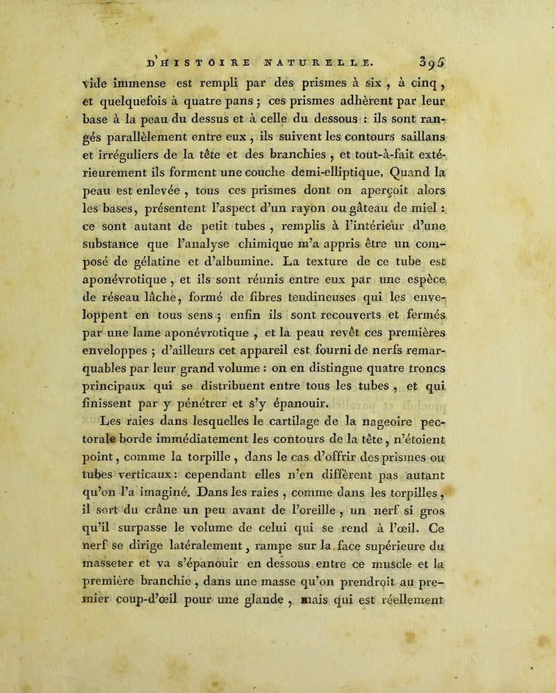 vide immense est rempli par des prismes à six , à cinq , et quelquefois à quatre pans j ces prismes adhèrent par leur base à la peau du dessus et à celle du dessous : ils sont ran- gés parallèlement entre eux , ils suivent les contours saillans et irréguliers de la tête et des branchies , et tout-à-fait exté- rieurement ils forment une couche demi-elliptique, Quand la peau est enlevée , tous ces prismes dont on aperçoit alors les bases, présentent l’aspect d’un rayon ou gâteau de miel : ce sont autant de petit tubes , remplis à l’intérieur d’une substance que l’analyse chimique m’a appris être un com- posé de gélatine et d’albumine. La texture de ce tube est aponévrotique , et ils sont réunis entre eux par une espèce de réseau lâche, formé de fibres tendineuses qui les enve- loppent en tous sens 5 enfin ils sont recouverts et fermés par une lame aponévrotique , et la peau revêt ces premières enveloppes ; d’ailleurs cet appareil est fourni de nerfs remar- quables par leur grand volume : on en distingue quatre troncs principaux qui se distribuent entre tous les tubes , et qui finissent par y pénétrer et s’y épanouir. Les raies dans lesquelles le cartilage de la nageoire pec- torale borde immédiatement les contours de la tête, n’étoient point, comme la torpille , dans le cas d’offrir des prismes ou tubes verticaux : cependant elles n’en diffèrent pas autant qu’on l’a imaginé. Dans les raies , comme dans les torpilles , il sort du crâne un peu avant de l’oreille , un nerf si gros qu’il surpasse le volume de celui qui se rend à l’œil. Ce nerf se dirige latéralement, rampe sur la face supérieure du masseter et va s’épanouir en dessous entre ce muscle et la première branchie , dans une masse qu’on prendroit au pre- mier coup-d’œil pour une glande ? mais qui est réellement