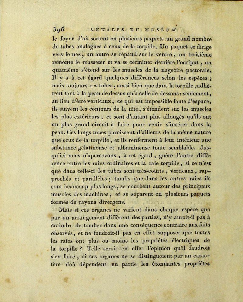 3 $ 6 ANNALES DU MUSEUM le foyer d’où sortent en plusieurs paquets un grand nombre de tubes analogues à ceux de la torpille. Un paquet se dirige vers le nez, un autre se répand sur le ventre , un troisième remonte le masseter et va se terminer derrière l’occiput , un quatrième s’étend sur les muscles de la nageoire pectorale. 11 y a à cet égard quelques différences selon les espèces $ mais toujours ces tubes , aussi bien que dans la torpille ^adhè- rent tant à la peau de dessus qu’à celle de dessous : seulement, au lieu d’être verticaux , ce qui est impossible faute d’espace, ils suivent les contours de la tête, s’étendent sur les muscles les plus extérieurs , et sont d’autant plus allongés qu’ils ont un plus grand circuit à faire pour venir s’insérer dans la peau. Ces longs tubes paroissent d’ailleurs de la même nature que ceux de la torpille, et ils renferment à leur intérieur une substance gélatineuse et albumineuse toute semblable. Jus- qu’ici nous n’apercevons , à cet égard , guère d’autre diffé- rence entre les raies ordinaires et la raie torpille, si ce n’est que dans celle-ci les tubes sont très-courts , verticaux , rap^ prochés et parallèles ; tandis que dans les autres raies ils sont beaucoup plus longs, se courbent autour des principaux muscles des machines, et se séparent en plusieurs paquets formés de rayons divergens. Mais si ces organes ne varient dans chaque espèce quo par un arrangement différent des parties, n’y auroit-il pas à craindre de tomber dans une conséquence contraire aux faits observés, et ne faudroit-il pas en effet supposer que toutes les raies ont plus ou moins les propriétés électriques de la torpille ? Telle seroit en effet l’opinion qu’il faudroit s’en faire , si ces organes ne se distinguoient par un carac- tère doù dépendent en partie les étonnantes propriétés