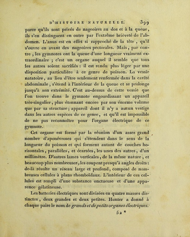 parce qu’ils sont privés de nageoires au dos et à la queue , ils s’en distinguent en outre par l’extrême brièveté de l’ab- domen. L’anus est en effet si rapproché de la tête , qu’il s’ouvre en avant des nageoires pectorales. Mais, par con- tre , les gymnotes ont la queue d’une longueur vraiment ex- traordinaire j c’est un organe auquel il semble que tous les autres soient sacrifiés : il est rendu plus léger par une disposition particulière à ce genre de poisson. La vessie natatoire, au lieu d’être seulement renfermée dans la cavité abdominale , s’étend à l’intérieur de la queue et se prolonge jusqu’à son extrémité. C’est au-dessus de cette vessie que l’on trouve dans le gymnote engourdissant un appareil très-singulier, plus étonnant encore par son énorme volume que par sa structure ; appareil dont il n’y a au'cun vestige dans les autres espèces de ce genre, et qu’il est impossible de ne pas reconnoître pour l’organe électrique de ce gymnote. Cet organe est formé par la réunion d’un assez grand nombre d’aponévroses qui s’étendent dans le sens de la longueur du poisson et qui forment autant de couches ho- rizontales ? parallèles , et écartées, les unes des autres , d’un millimètre. D’autres lames verticales , de la même nature , et beaucoup plus nombreuses ^ les coupentpresqu’à angles droits : de-là résulte un réseau large et profond, composé de nom- breuses cellules à plans rhomboïdaux. L’intérieur de ces cel- lules est rempli d’une substance onctueuse et d’une appa- rence gélatineuse. Les batteries électriques sont divisées en quatre masses dis- tinctes , deux grandes et deux petites. Hunter a donné à chaque paire le nom de grands et de petits organes électriques. Ô2 *