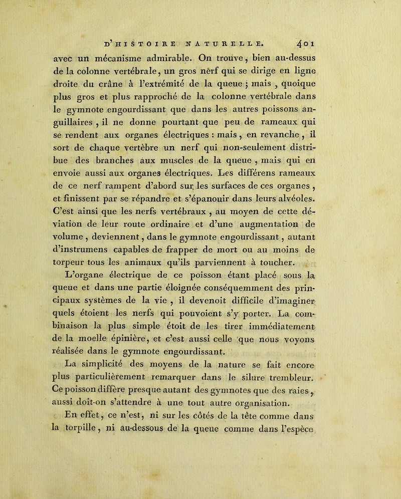 avec un mécanisme admirable. On trouve ? bien au-dessus de la colonne vertébrale ? un gros nerf qui se dirige en ligne droite du crâne à l’extrémité de la queue j mais } quoique plus gros et plus rapproché de la colonne vertébrale dans le gymnote engourdissant que dans les autres poissons an- guillaires , il ne donne pourtant que peu de rameaux qui se rendent aux organes électriques : mais ? en revanche , il sort de chaque vertèbre un nerf qui non-seulement distri- bue des branches aux muscles de la queue , mais qui en envoie aussi aux organes électriques. Les différens rameaux de ce nerf rampent d’abord sur les surfaces de ces organes ? et finissent par se répandre et s’épanouir dans leurs alvéoles. C’est ainsi que les nerfs vertébraux , au moyen de cette dé- viation de leur route ordinaire et d’une augmentation de volume , deviennent 7 dans le gymnote engourdissant, autant d’instrumens capables de frapper de mort ou au moins de torpeur tous les animaux qu’ils parviennent à toucher. L’organe électrique de ce poisson étant placé sous la queue et dans une partie éloignée conséquemment des prin- cipaux systèmes de la vie , il devenoit difficile d’imaginer quels étoient les nerfs qui pouvoient s’y porter. La com- binaison la plus simple étoit de les tirer immédiatement de la moelle épinière ? et c’est aussi celle que nous voyons réalisée dans le gymnote engourdissant. La simplicité des moyens de la nature se fait encore plus particulièrement remarquer dans le silure trembleur. Ce poisson diffère presque autant des gymnotes que des raies ? aussi doit-on s’attendre à une tout autre organisation. En effet 7 ce n’est; ni sur les côtés de la tête comme dans la torpille ? ni au-dessous de la queue comme dans l’espèce