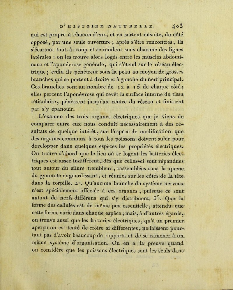 qui est propre à chacun d’eux, et en sortent ensuite, du côté opposé, par une seule ouverture ; après s’être rencontrés, ils s’écartent tout-à-coup et se rendent sous chacune des lignes latérales : on les trouve alors logés entre les muscles abdomi- naux et l’aponévrose générale, qui s’étend sur le réseau élec- trique ; enfin ils pénètrent sous la peau au moyen de grosses branches qui se portent à droite et à gauche du nerf principal. Ces branches sont au nombre de 12a 1 5 de chaque côté ; elles percent l’aponévrose qui revêt la surface interne du tissu réticulaire, pénètrent jusqu’au centre du réseau et finissent par s’y épanouir. L’examen des trois organes électriques que je viens de comparer entre eux nous conduit nécessairement à des ré- sultats de quelque intérêt, sur l’espèce de modification que des organes communs à tous les poissons doivent subir pour développer dans quelques espèces les propriétés électriques. On trouve d’afiord que le lieu où se logent les batteries élec- triques est assez indifférent, dès que celles-ci sont répandues tout autour du silure trembleur , rassemblées sous la queue du gymnote engourdissant, et réunies sur les côtés de la tête dans la torpille. 20. Qu’aucune branche du système nerveux n’est spécialement affectée à ces organes , puisque ce sont autant de nerfs différens qui s’y distribuent. 3°. Que la forme des cellules est de même peu essentielle, attendu que cette forme varie dans chaque espèce 5 mais, à d’autres égards, on trouve aussi que les batteries électriques , qu’à un premier aperçu on est tenté de croire si différentes, ne laissent pour- tant pas d’avoir beaucoup de rapports et de se ramener à un même système d’organisation. On en a la preuve quand on considère que les poissons électriques sont les seuls dans