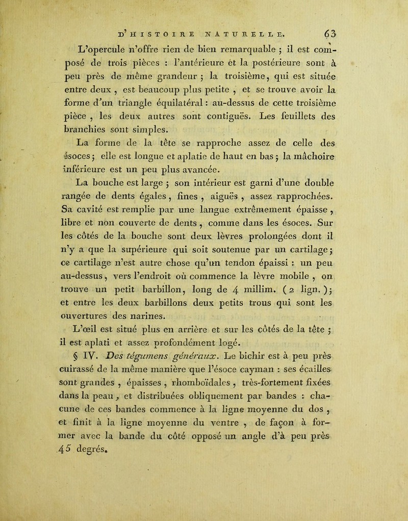 L’opercule n’offre rien de bien remarquable ; il est com- posé de trois pièces : l’antérieure ét la postérieure sont à peu près de même grandeur ; la troisième, qui est située entre deux , est beaucoup plus petite , et se trouve avoir la forme d*un triangle équilatéral : au-dessus de cette troisième pièce , les deux autres sont contiguës. Les feuillets des branchies sont simples. La forme de la tête se rapproche assez de celle des ésoces j elle est longue et aplatie de haut en bas j la mâchoire inférieure est un peu plus avancée. La bouche est large 5 son intérieur est garni d’une double rangée de dents égales , fines , aiguës , assez rapprochées. Sa cavité est remplie par une langue extrêmement épaisse , libre et non couverte de dents , comme dans les ésoces. Sur les côtés de la bouche sont deux lèvres prolongées dont il n’y a que la supérieure qui soit soutenue par un cartilage j ce cartilage n’est autre chose qu’un tendon épaissi : un peu au-dessus, vers l’endroit où commence la lèvre mobile , on trouve un petit barbillon, long de 4 millim. (2 lign. )$ et entre les deux barbillons deux petits trous qui sont les ouvertures des narines. L’œil est situé plus en arrière et sur les côtés de la tête 5 il est aplati et assez profondément logé. § IV. Des tégumens génércaix. Le bichir est à peu près cuirassé de la même manière que l’ésoce cayman : ses écailles sont grandes , épaisses , rhomboïdales , très-fortement fixées dans la peau et distribuées obliquement par bandes : cha- cune de ces bandes commence à la ligne moyenne du dos , et finit à la ligne moyenne du ventre , de façon à for- mer avec la bande du côté opposé un angle d’à peu près 45 degrés.