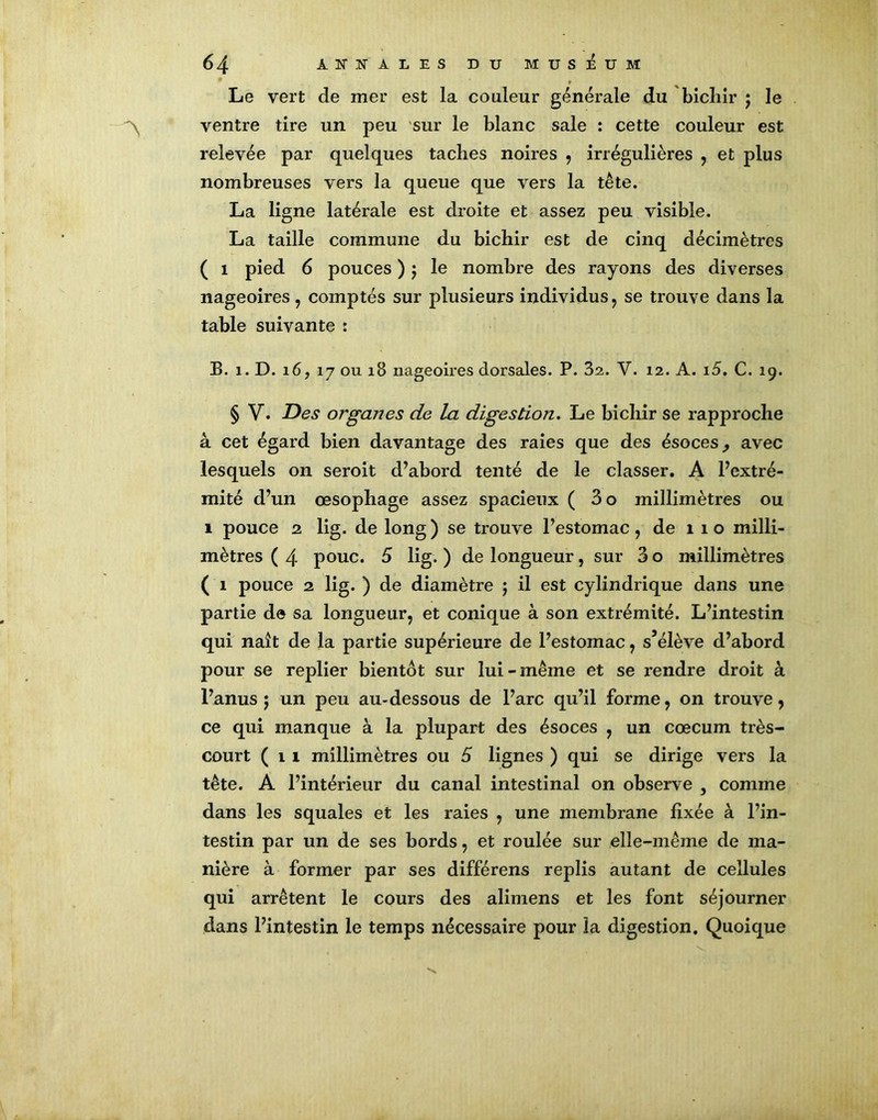 Le vert de mer est la couleur générale du bicliir j le ventre tire un peu sur le blanc sale : cette couleur est relevée par quelques taches noires , irrégulières , et plus nombreuses vers la queue que vers la tête. La ligne latérale est droite et assez peu visible. La taille commune du bichir est de cinq décimètres ( 1 pied 6 pouces ) j le nombre des rayons des diverses nageoires, comptés sur plusieurs individus, se trouve dans la table suivante : B. i. D. 16, 17 ou 18 nageoires dorsales. P. 32. V. 12. A. i5. C. 19. § V. Des organes de la digestion. Le bichir se rapproche à cet égard bien davantage des raies que des ésoces, avec lesquels on seroit d’abord tenté de le classer. A l’extré- mité d’un œsophage assez spacieux ( 3 o millimètres ou 1 pouce 2 lig. de long ) se trouve l’estomac, de 110 milli- mètres ( 4 pouc. 5 lig. ) de longueur, sur 3 o millimètres ( 1 pouce 2 lig. ) de diamètre ; il est cylindrique dans une partie de sa longueur, et conique à son extrémité. L’intestin qui naît de la partie supérieure de l’estomac, s’élève d’abord pour se replier bientôt sur lui-même et se rendre droit à l’anus j un peu au-dessous de l’arc qu’il forme, on trouve, ce qui manque à la plupart des ésoces , un cæcum très- court (11 millimètres ou 5 lignes ) qui se dirige vers la tête. A l’intérieur du canal intestinal on observe , comme dans les squales et les raies , une membrane fixée à l’in- testin par un de ses bords, et roulée sur elle-même de ma- nière à former par ses différens replis autant de cellules qui arrêtent le cours des alimens et les font séjourner dans l’intestin le temps nécessaire pour la digestion. Quoique