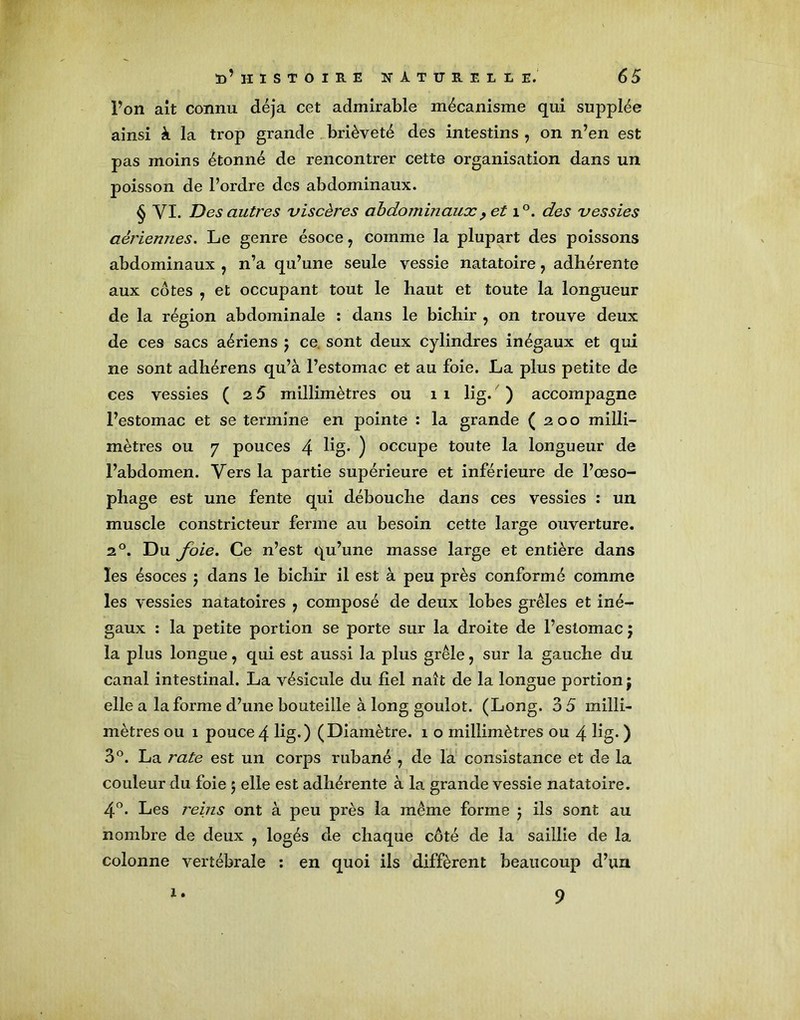 Ton ait connu déjà cet admirable mécanisme qui supplée ainsi à la trop grande brièveté des intestins , on n’en est pas moins étonné de rencontrer cette organisation dans un poisson de l’ordre des abdominaux. § VI. Des autres viscères abdominaux, et i°. des vessies aériennes. Le genre ésoce 7 comme la plupart des poissons abdominaux ? n’a qu’une seule vessie natatoire 7 adhérente aux cotes , et occupant tout le haut et toute la longueur de la région abdominale : dans le bichir , on trouve deux de ces sacs aériens j ce. sont deux cylindres inégaux et qui ne sont adhérens qu’à l’estomac et au foie. La plus petite de ces vessies ( 2.5 millimètres ou 1 1 lig. ) accompagne l’estomac et se termine en pointe : la grande (200 milli- mètres ou 7 pouces 4 lig- ) occupe toute la longueur de l’abdomen. Vers la partie supérieure et inférieure de l’œso- phage est une fente qui débouche dans ces vessies : un muscle constricteur ferme au besoin cette large ouverture. 20. Du foie. Ce n’est qu’une masse large et entière dans les ésoces 5 dans le bichir il est à peu près conformé comme les vessies natatoires , composé de deux lobes grêles et iné- gaux : la petite portion se porte sur la droite de l’estomac 5 la plus longue, qui est aussi la plus grêle, sur la gauche du canal intestinal. La vésicule du fiel naît de la longue portion j elle a la forme d’une bouteille à long goulot. (Long. 3 5 milli- mètres ou 1 pouce 4 lig-) (Diamètre. 1 o millimètres ou 4 lig. ) 3°. La rate est un corps rubané , de la consistance et de la couleur du foie 5 elle est adhérente à la grande vessie natatoire. 4°. Les reins ont à peu près la même forme j ils sont au nombre de deux , logés de chaque côté de la saillie de la colonne vertébrale : en quoi ils diffèrent beaucoup d’un 1.