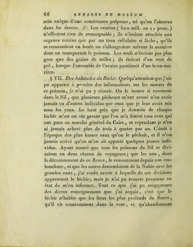 rein unique d’une consistance pulpeuse , tel qu’on l’observe dans les ésoces. 5°. Les ovaires ( 3oo mill. ou 1 1 pouc. ) n’offroient rien de remarquable ; ils n’étoient attachés aux organes voisins que par un tissu cellulaire si lâche , qu’ils se ramassoient en boule ou s’allongeoient suivant la manière dont on transportait le poisson. Les œufs n’étoient pas plus gros que des grains de millet \ ils étoient d’un vert de pré , lorsque l’ensemble de l’ovaire paroissoit d’un brun-noi- râtre. § VII. Des habitudes duBichir. Quelqu’attention que j’aie pu apporter à prendre des informations sur les mœurs de ce poisson, je n’ai pu y réussir. On le trouve si rarement dans le Nil , que plusieurs pêcheurs m’ont avoué n’en avoir jamais vu d’autres individus que ceux que je leur avois mis sous les yeux. Le haut prix que je donnois de chaque bichir m’est un sûr garant que l’on m’a fourni tous ceux qui ont paru au marché général du Caire , et cependant je n’en ai jamais acheté plus de trois à quatre par an. C’était à l’époque des plus basses eaux qu’on le pêchoit, et il 11’est jamais arrivé qu’on m’en ait apporté quelques jeunes indi- vidus. Ayant trouvé que tous les poissons du Nil se divi- soient en deux classes de voyageurs ; que les uns , dans le décroissement de ce fleuve , le remontoient depuis son em- bouchure , et que les autres descendoient de la Nubie avec les grandes eaux , j’ai voulu savoir à laquelle de ces divisions appartenoit le bichir j mais je n’ai pu trouver personne en état de m’en informer. Tout ce que j’ai pu soupçonner des divers renseignemens que j’ai acquis , c’est que le bichir n’habite que les lieux les plus profonds du fleuve , qu’il vit constamment dans la vase, et qu’abandonnant