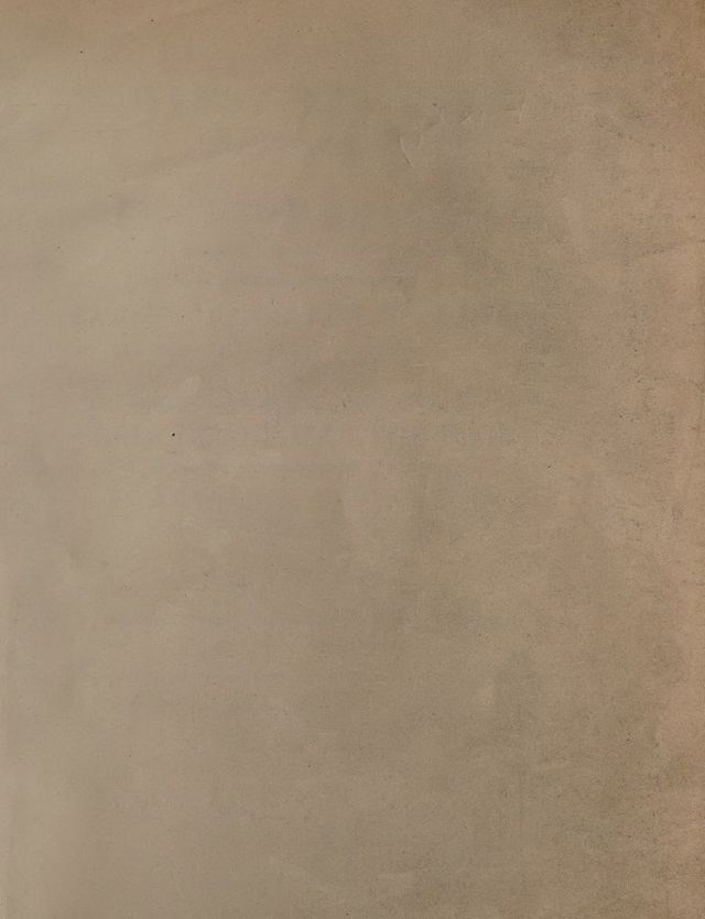 digitised image 3