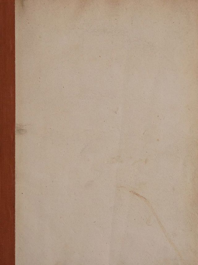 digitised image 3