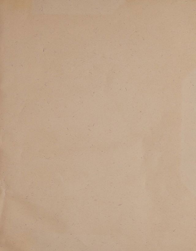 digitised image 3