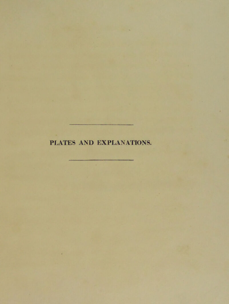 PLATES AND EXPLANATIONS.