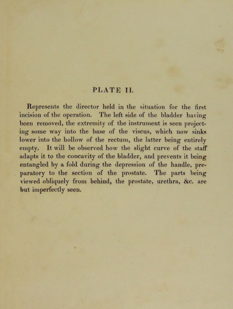 Represents the director held in the situation for the first incision of the operation. The left side of the bladder having been removed, the extremity of the instrument is seen project- ing some way into the base of the viscus, which now sinks lower into the hollow of the rectum, the latter being entirely empty. It will be observed how the slight curve of the staff adapts it to the concavity of the bladder, and prevents it being entangled by a fold during the depression of the handle, pre- paratory to the section of the prostate. The parts being viewed obliquely from behind, the prostate, urethra, &c. are but imperfectly seen.