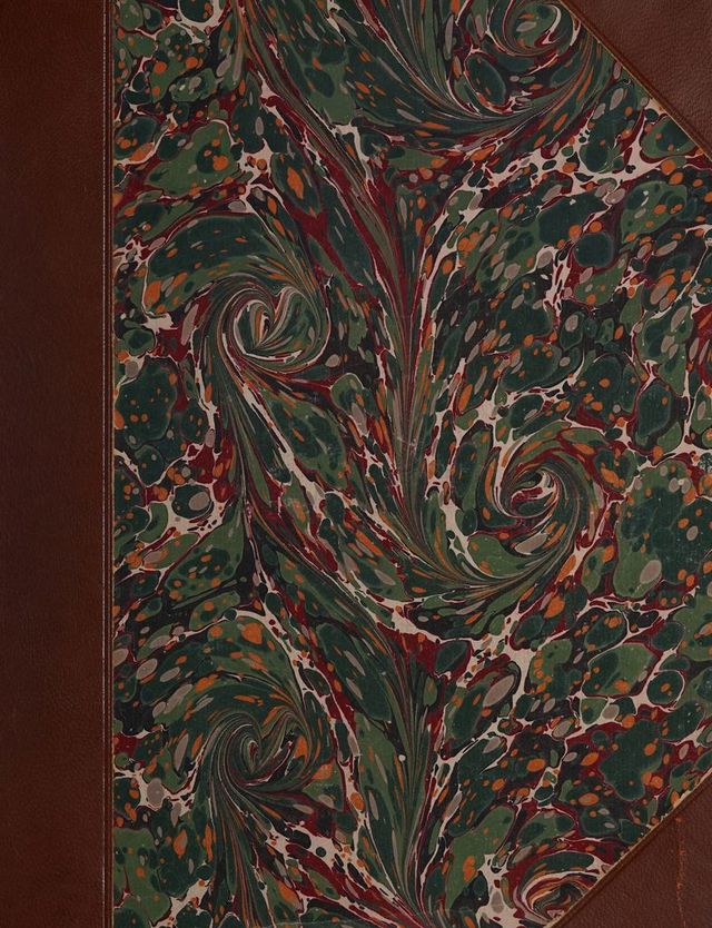 digitised image 1