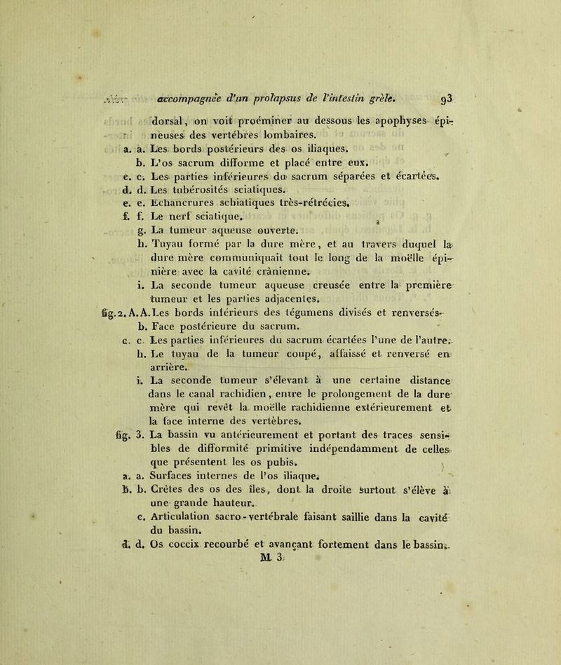 dorsal, on voit proéminer au dessous les apophyses épi-r neuses des vertèbres lombaires. a. a. Les bords postérieurs des os iliaques., b. L’os sacrum difforme et placé entre eux. c. c. Les parties inférieures du sacrum séparées et écartées. d. d. Les tubérosités sciatiques. e. e. Echancrures scbiatiques très-rétrécies. £ f. Le nerf sciatique. g. La tumeur aqueuse ouverte. h. Tuyau formé par la dure mère, et au travers duquel la dure mère communiquait tout le long de la moelle épi- nière avec la cavité crânienne. i. La seconde tumeur aqueuse creusée entre la première tumeur et les parlies adjacentes. fîg.2. A. A. T .es bords intérieurs des tégumens divisés et renversés» b. Face postérieure du sacrum. g. c Les parties inférieures du sacrum écartées l’une de l’autre, b. Le tuyau de la tumeur coupé, affaissé et renversé en arrière. i. La seconde tumeur s’élevant à une certaine distance dans le canal rachidien, entre le prolongement de la dure mère qui revêt la moelle rachidienne extérieurement et la face interne des vertèbres* fig. 3. La bassin vu antérieurement et portant des traces sensi- bles de difformité primitive indépendamment de celles: que présentent les os pubis. v a. a. Surfaces internes de l’os iliaque^ b. b. Crêtes des os des îles, dont la droite surtout s’élève a; une grande hauteur. c. Articulation sacro - vertébrale faisant saillie dans la cavité du bassin. d. d. Os coccix recourbé et avançant fortement dans le bassin- ai 3